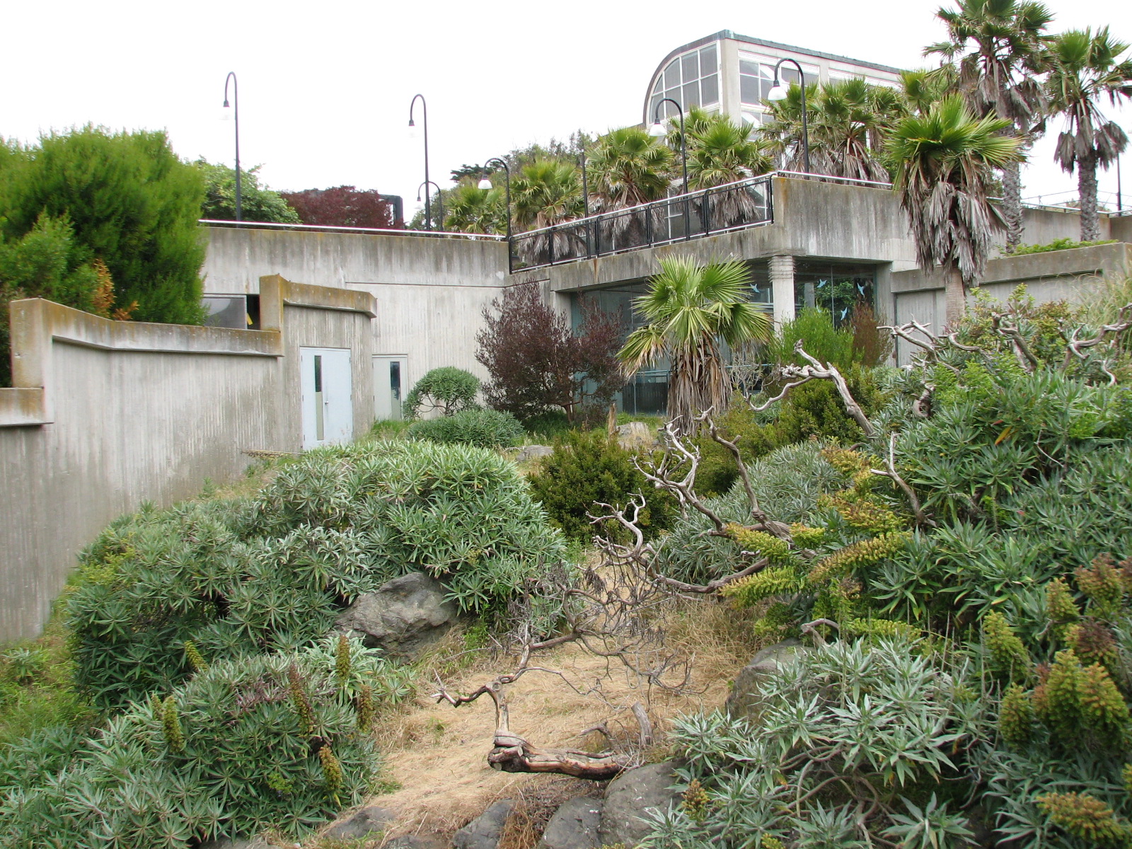 Primate Discovery Center - Patas Monkey Exhibit