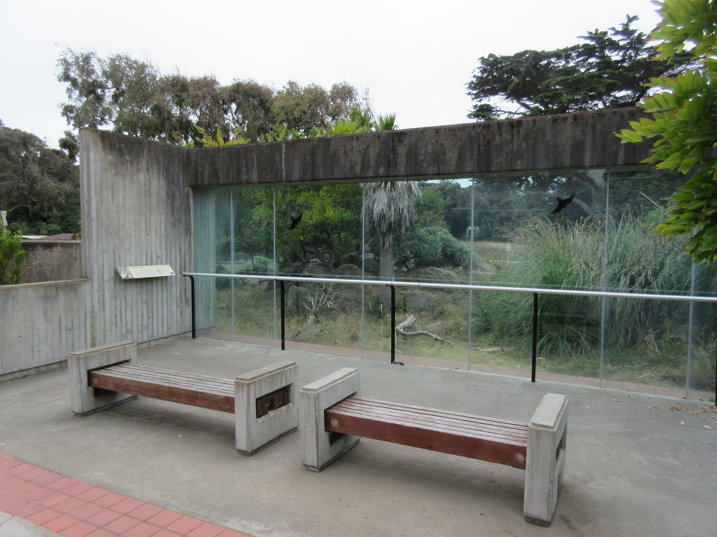 Primate Discovery Center - Patas Monkey Exhibit