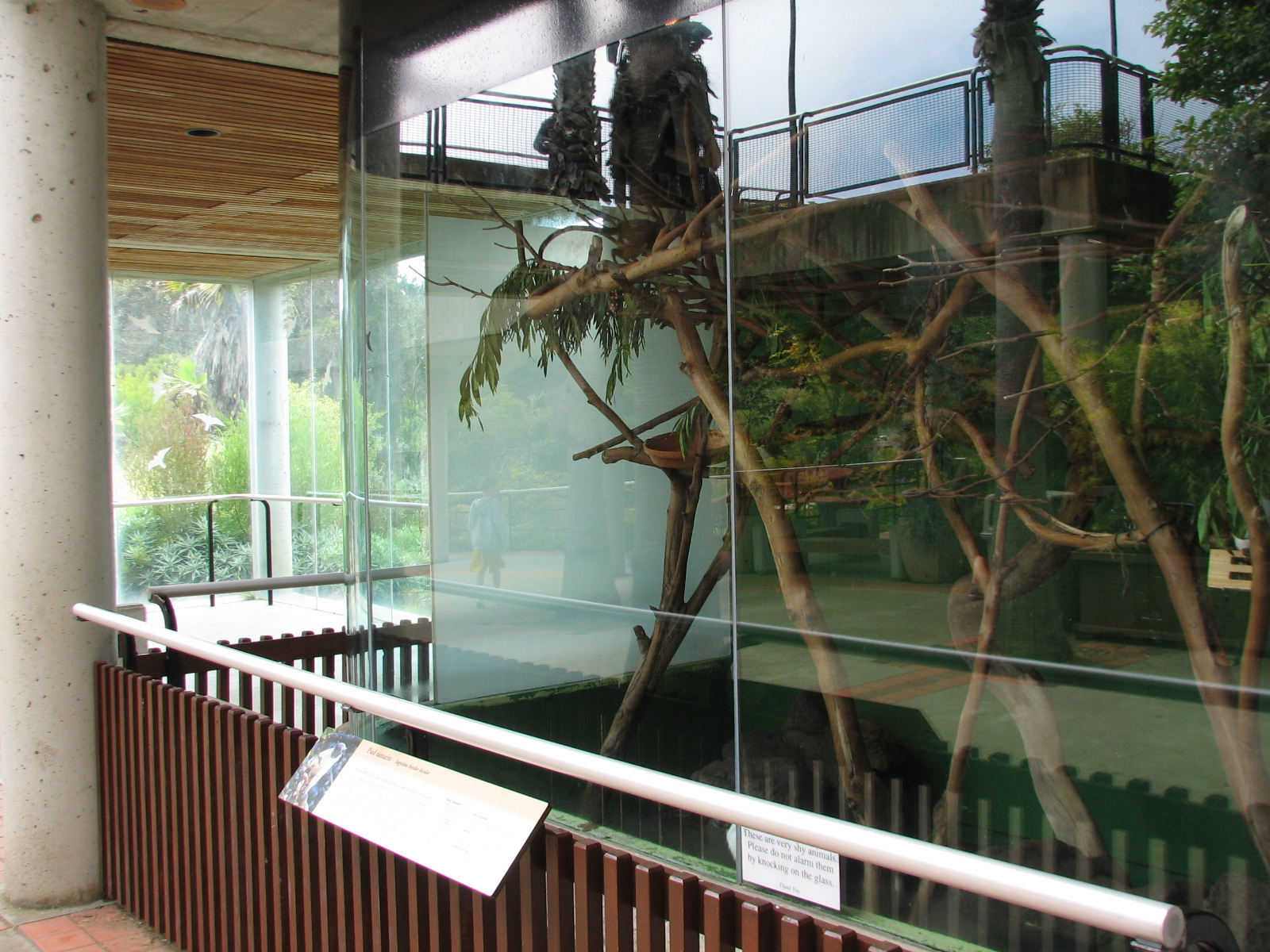 Primate Discovery Center - Pied Tamarin Exhibit