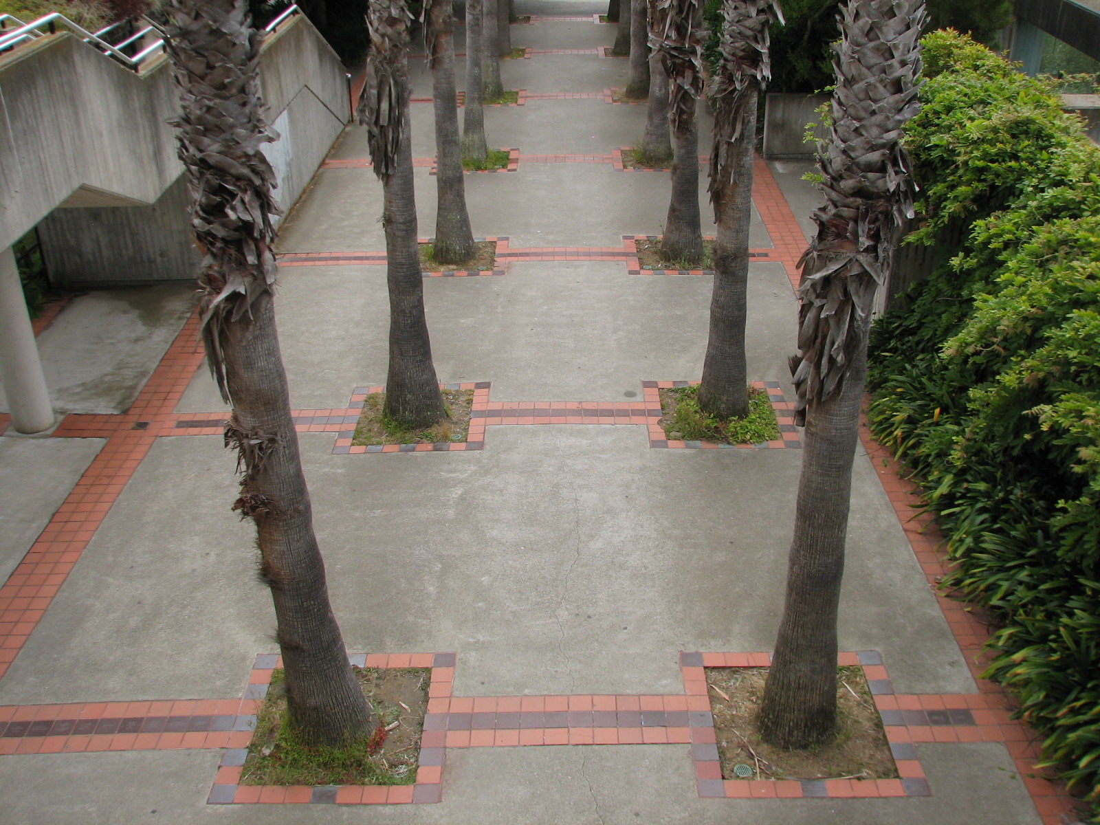 Primate Discovery Center - Plaza