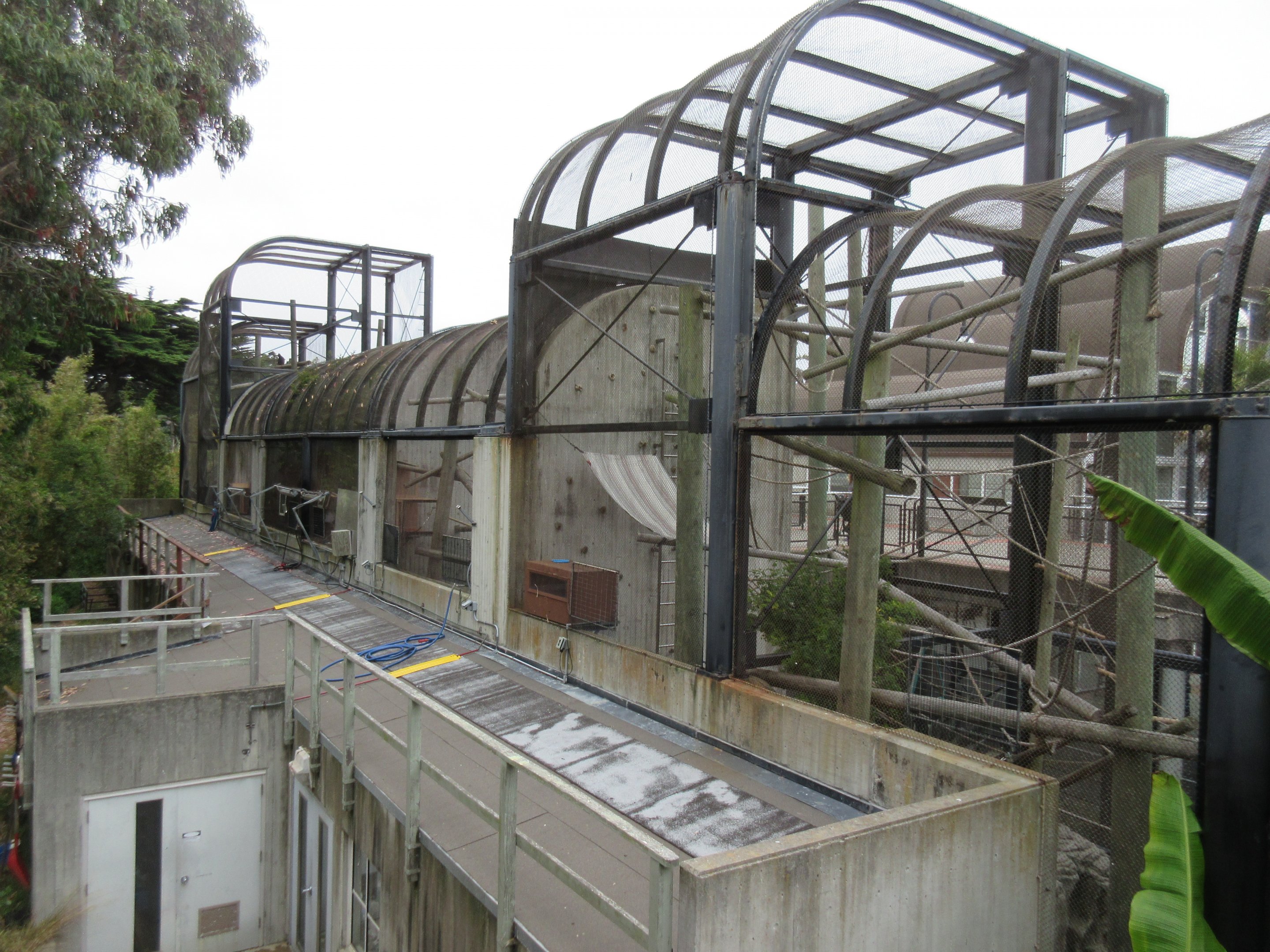 Primate Discovery Center - rear view of exhibits (ugh!)