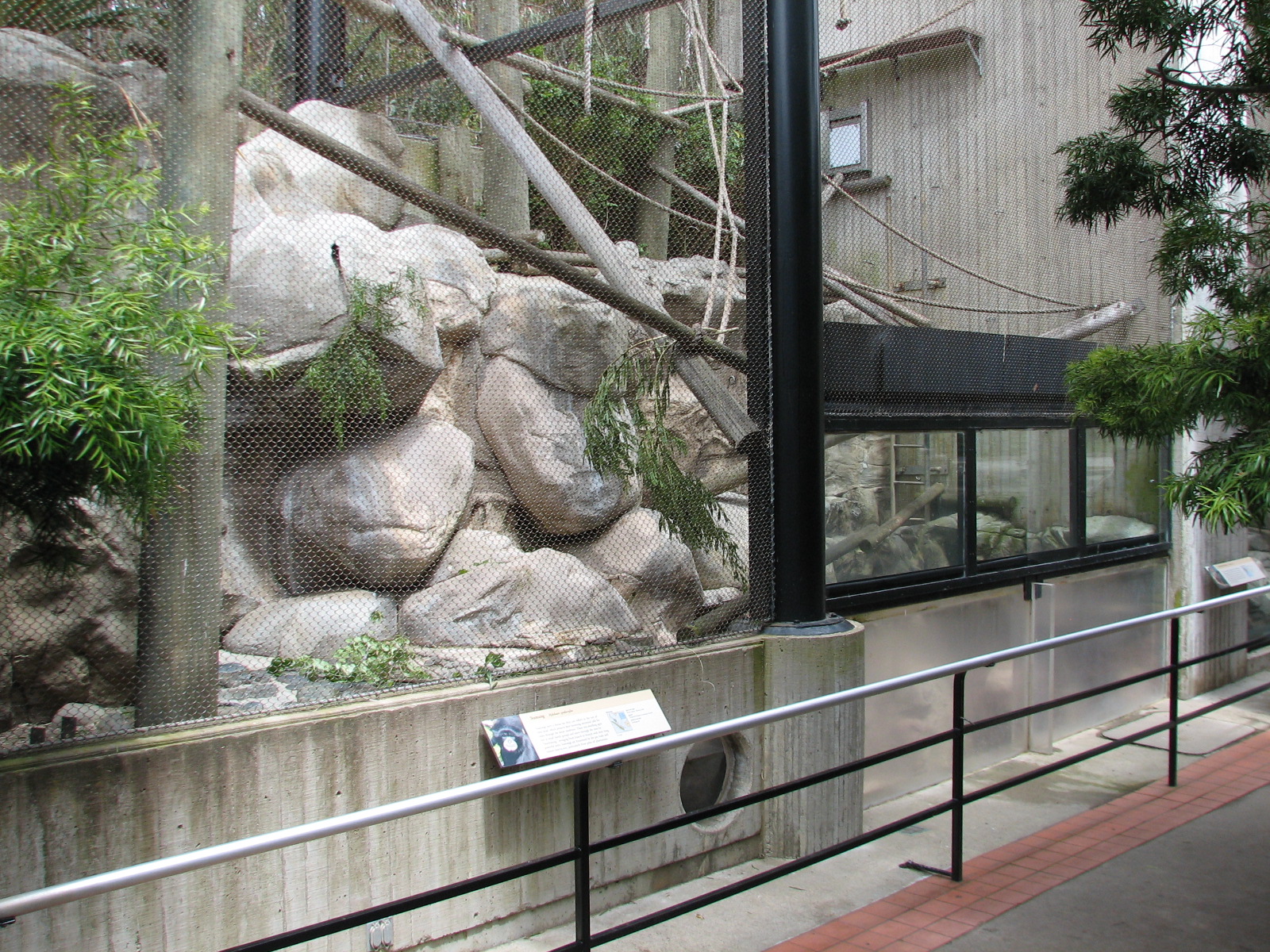 Primate Discovery Center - Siamang Exhibit