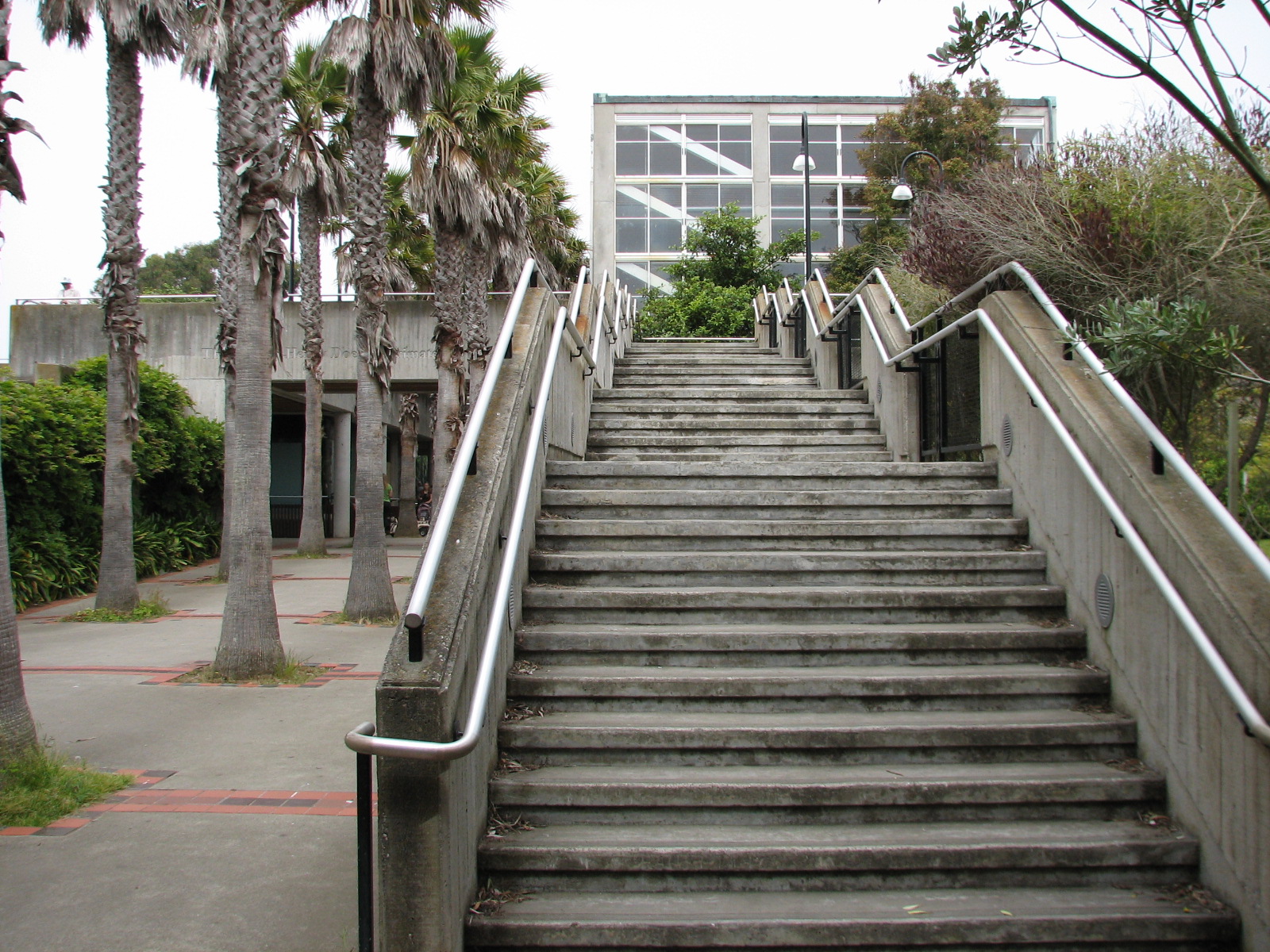 Primate Discovery Center - Steps