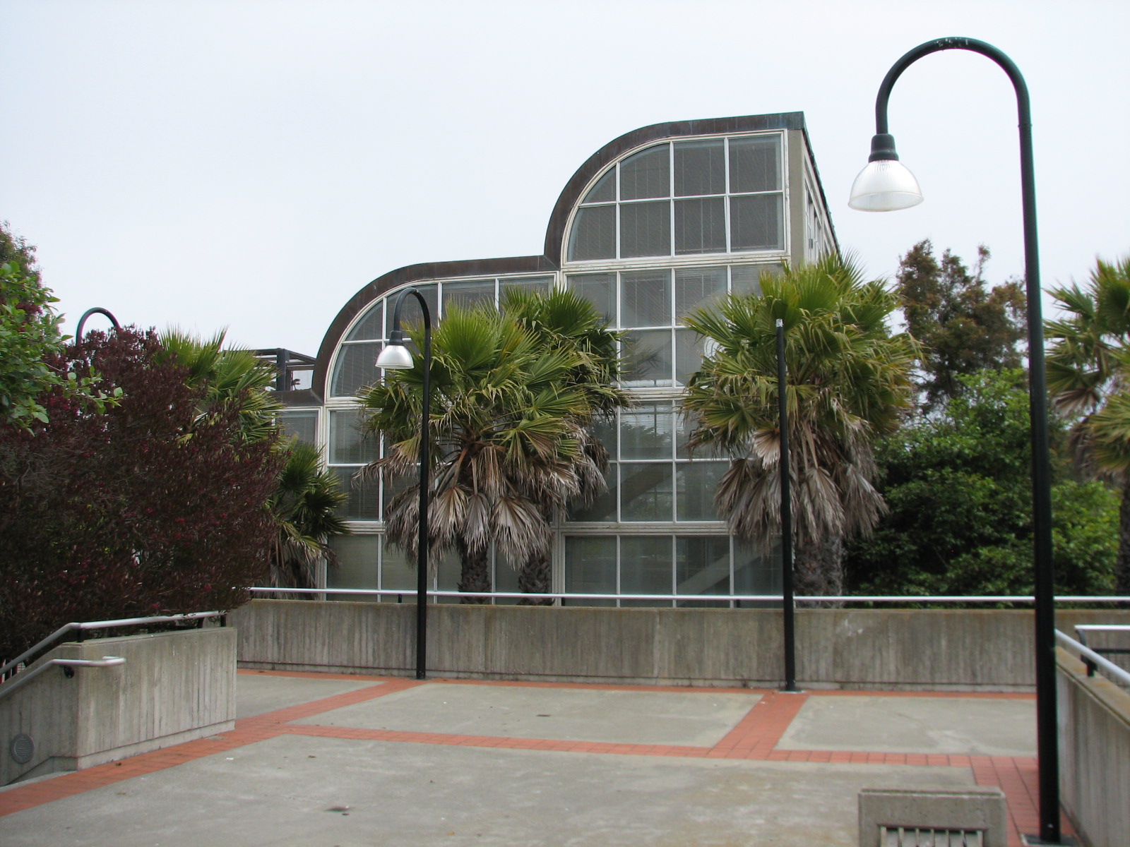 Primate Discovery Center - Upper Terrace