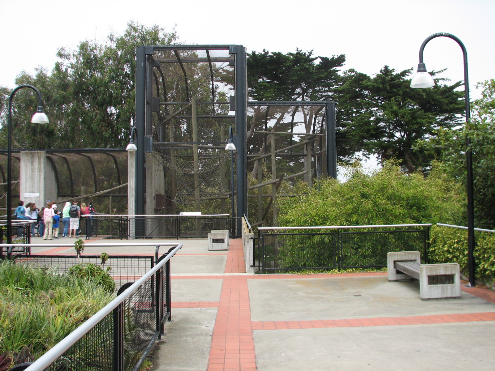 Primate Discovery Center - Upper Terrace