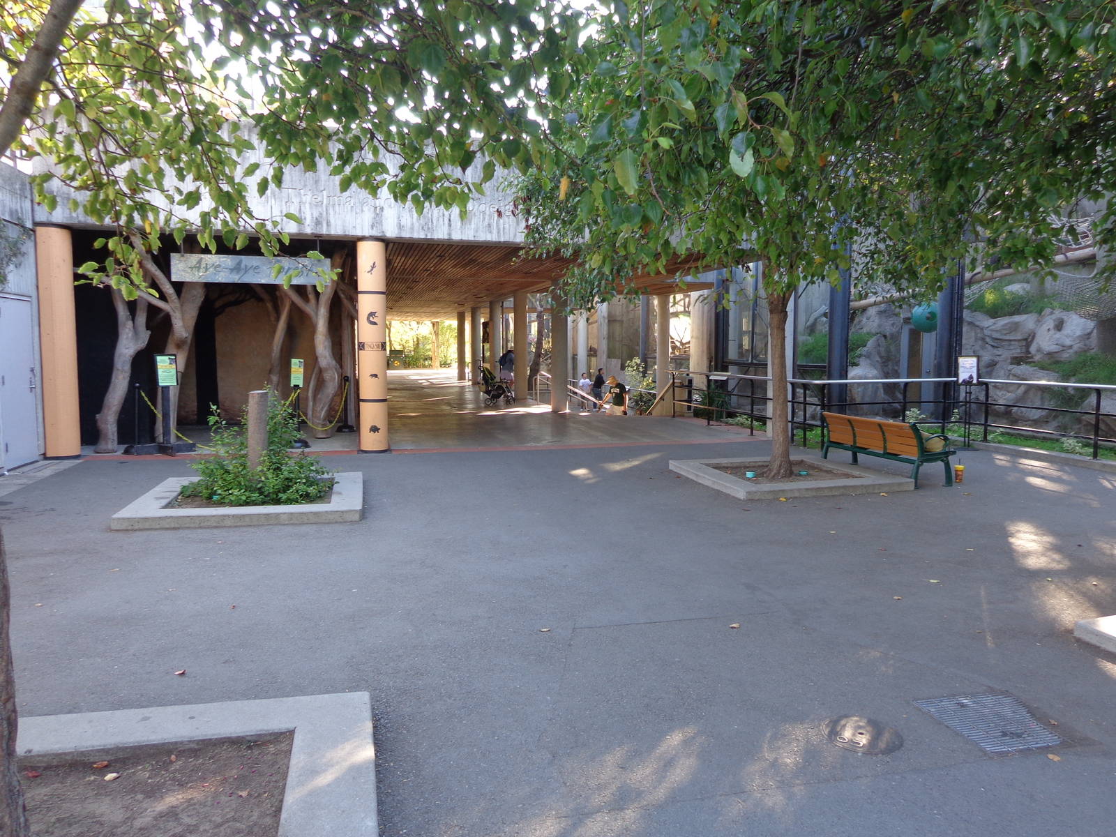 Primate Discovery Center