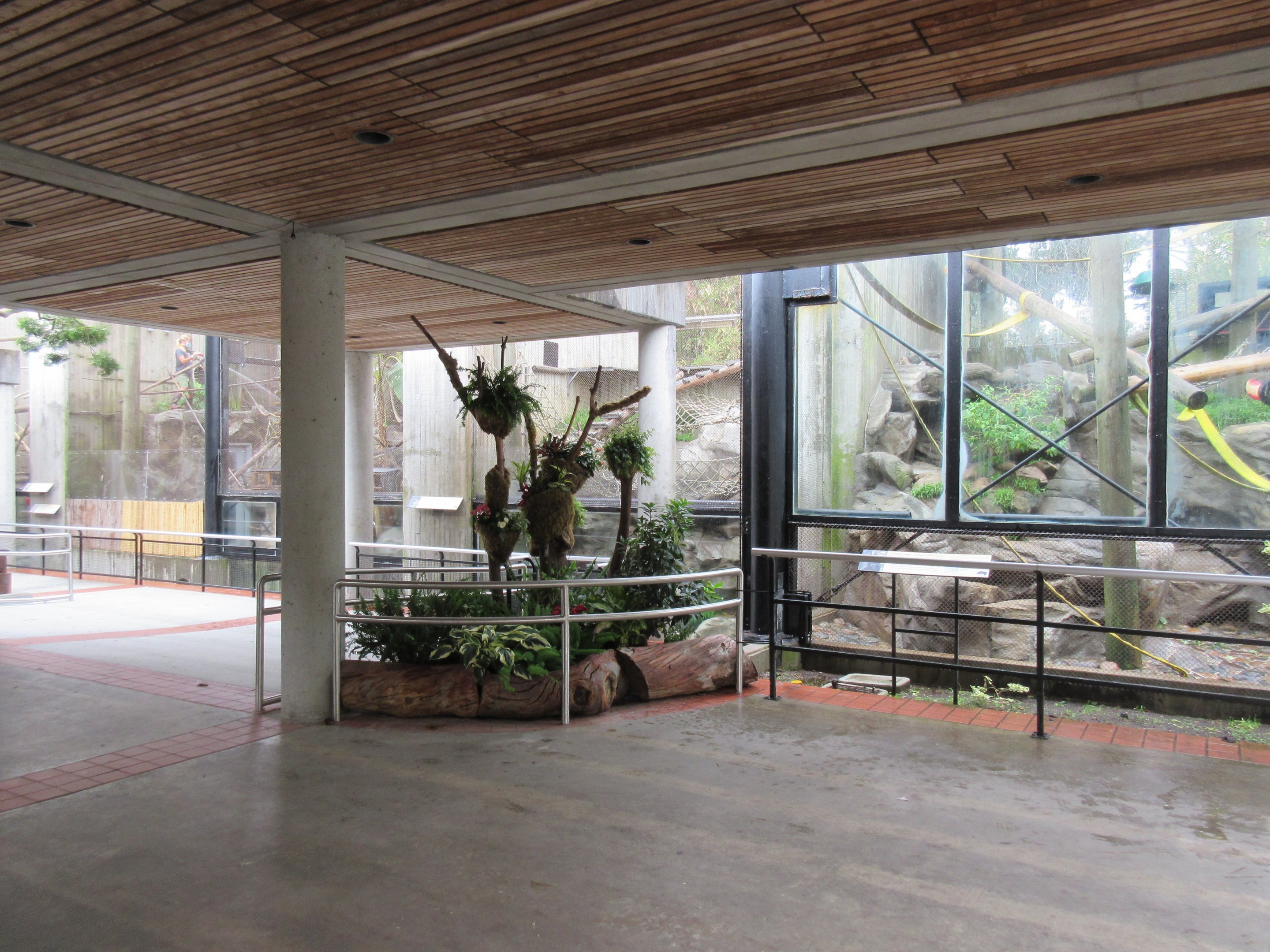 Primate Discovery Center