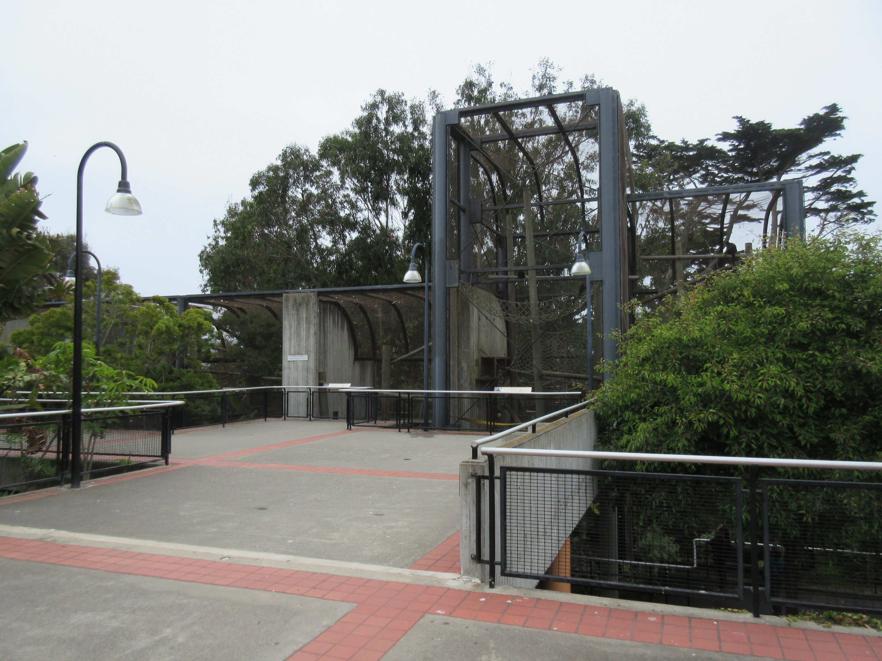 Primate Discovery Center