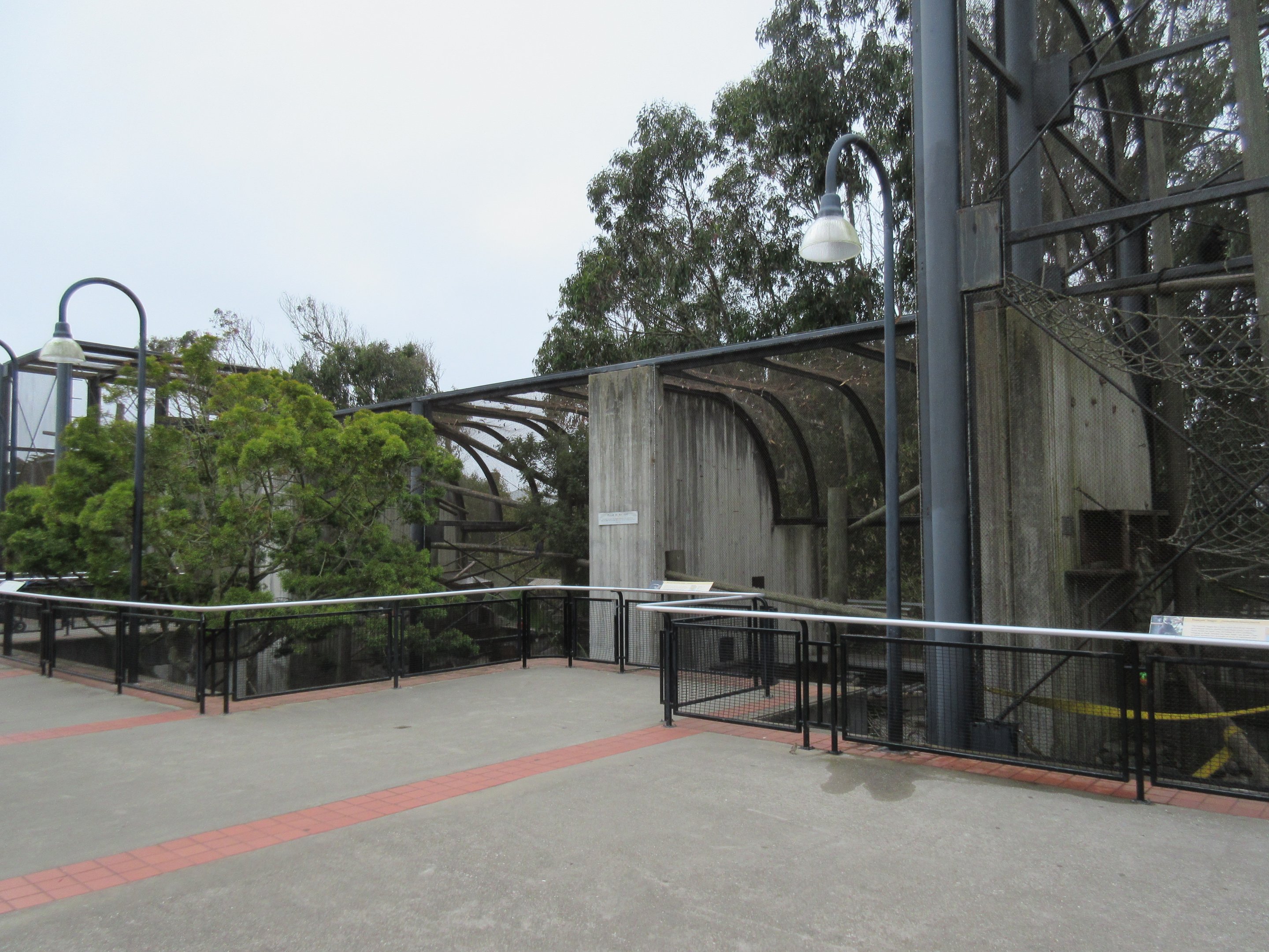 Primate Discovery Center