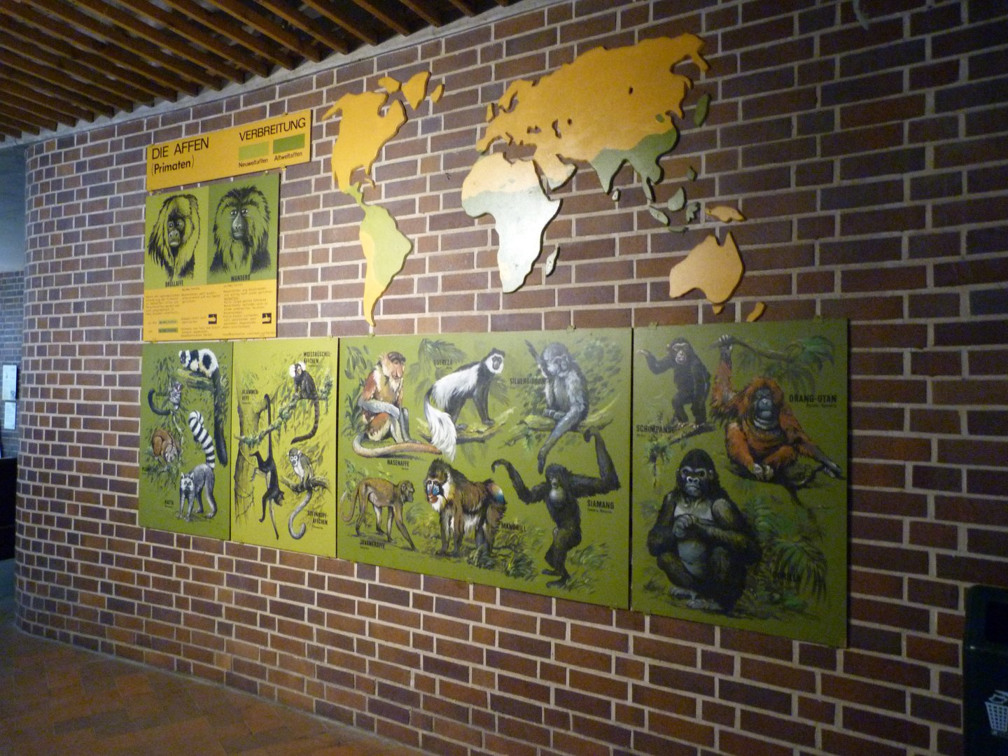 Primate display -Zoologischer Garten Berlin (2024)