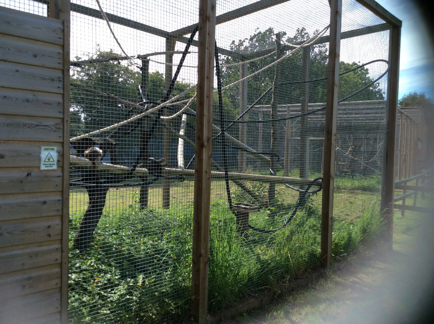 Primate enclosure 270517
