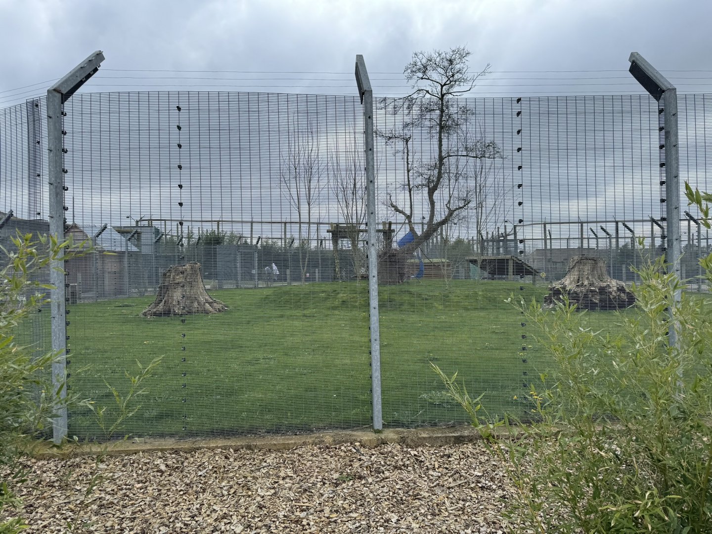 Primate Enclosure at Wolds Wildlife Park (March 2024)