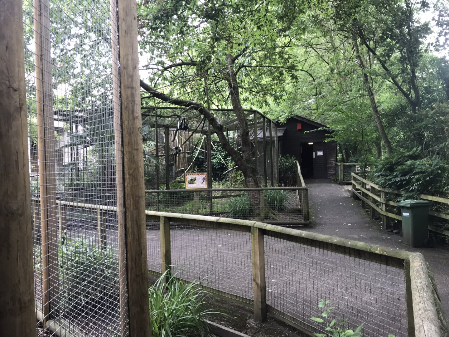 Primate enclosures 230619