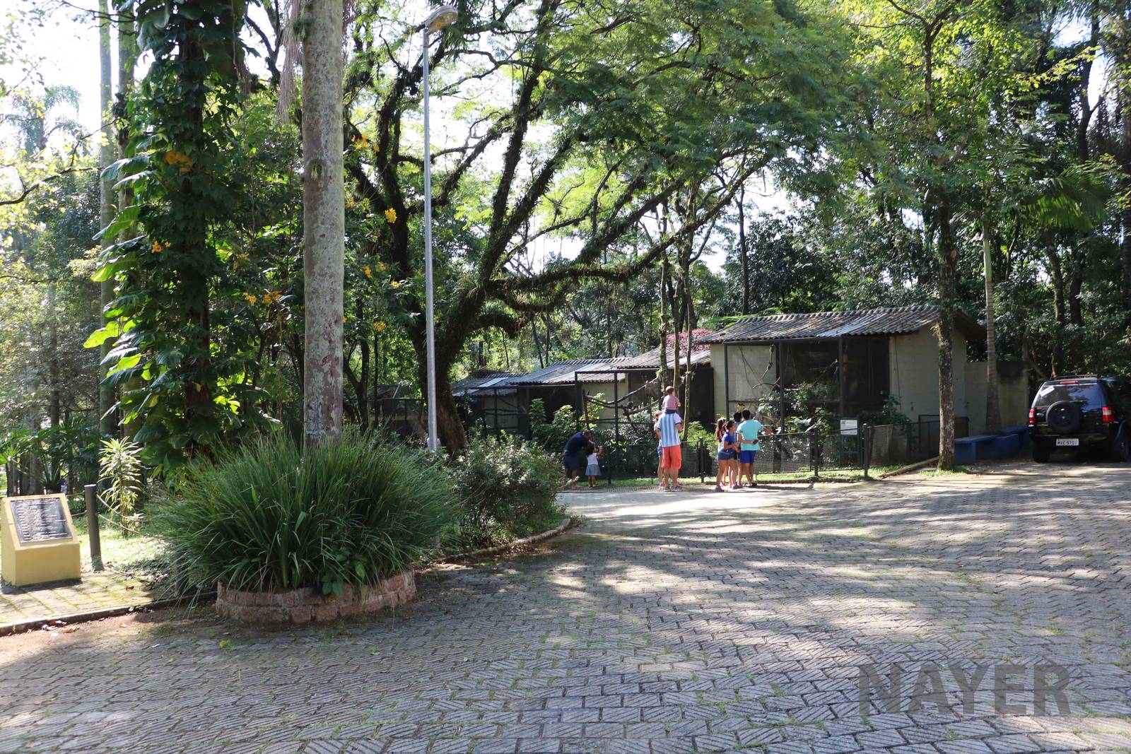 Primate enclosures, April 2016