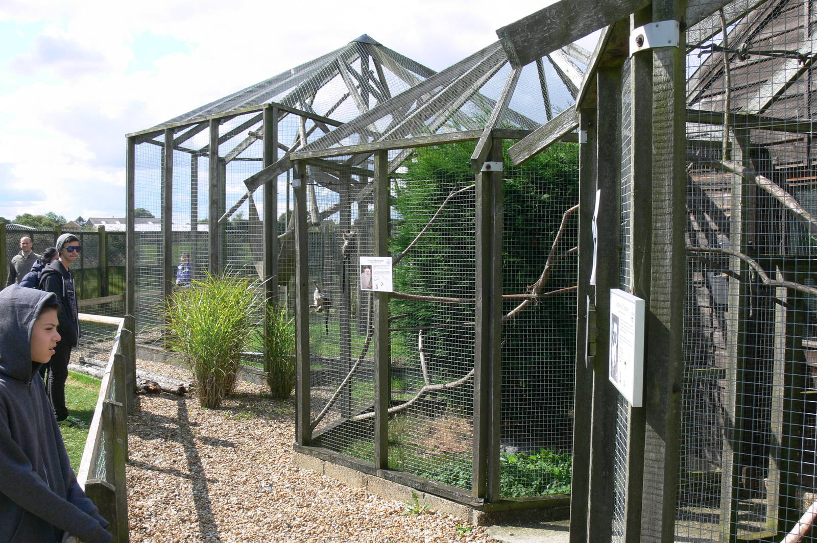 Primate Enclosures at Hamerton Zoo, 23/08/14