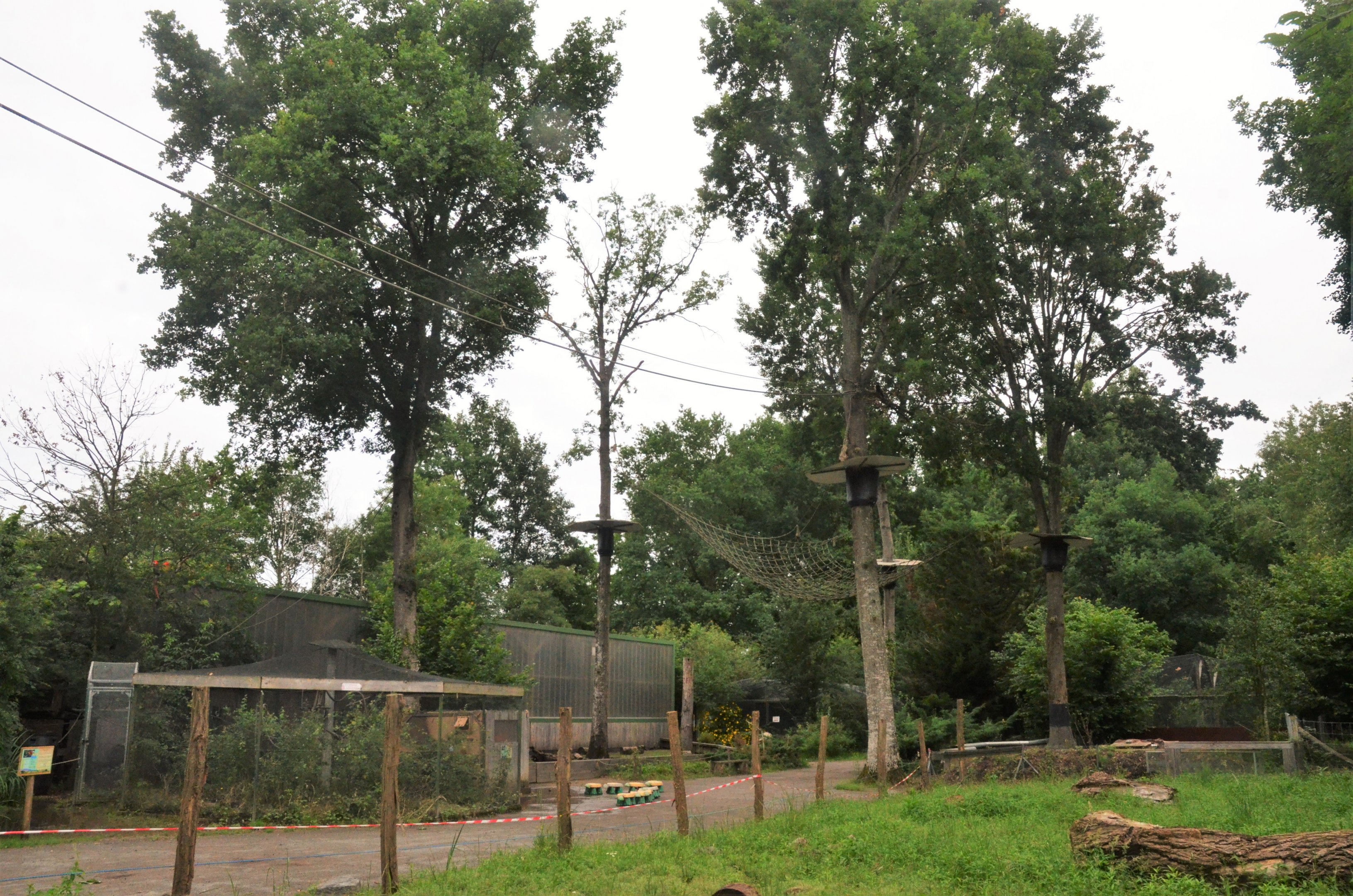 Primate Enclosures at Spaycific'Zoo, 13/06/18