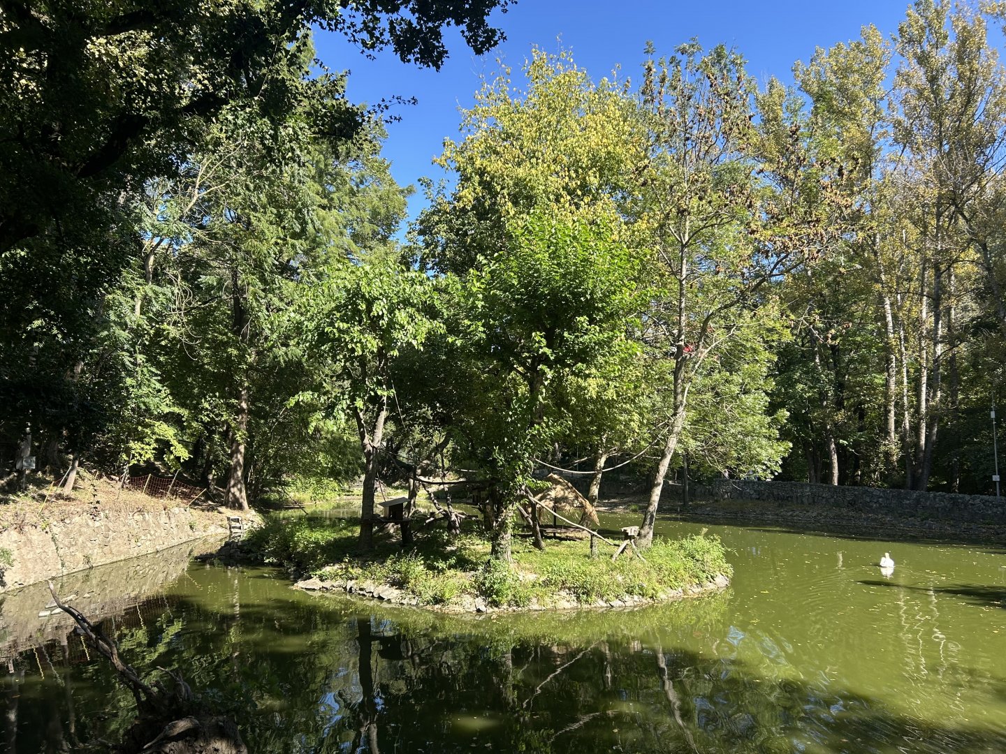 Primate Exhibit (Empty)
