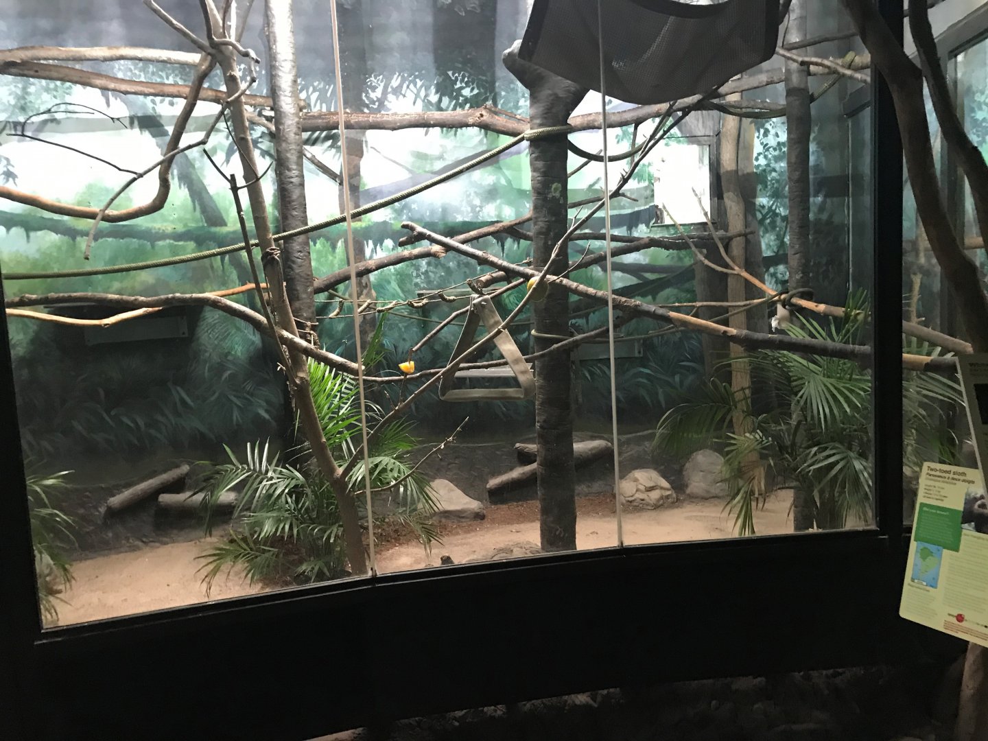 Primate Exhibit Mural (Americas Pavilion)