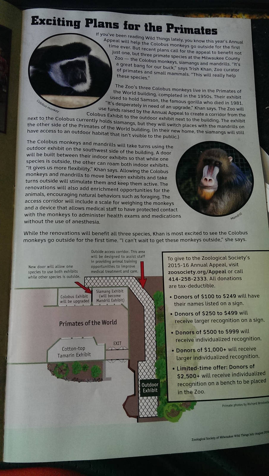 Primate Exhibit Renovations