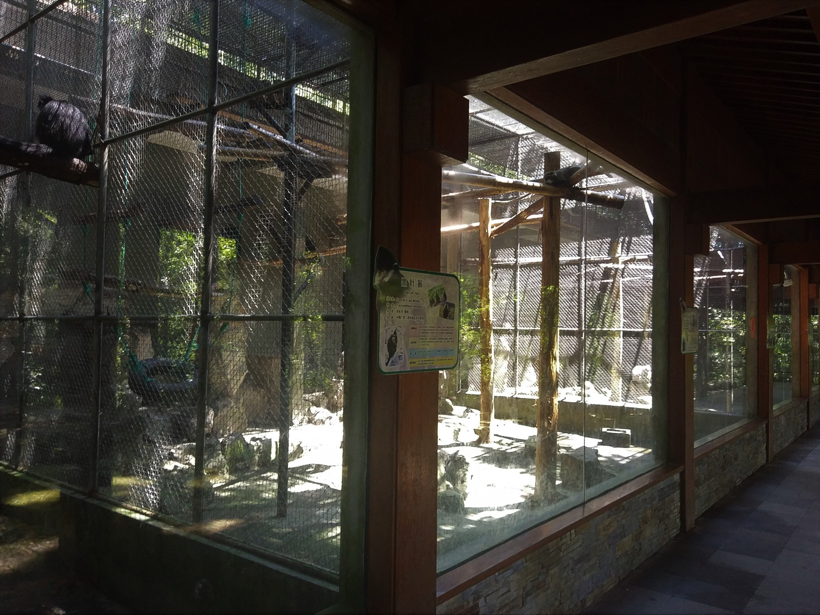 Primate Exhibit Row