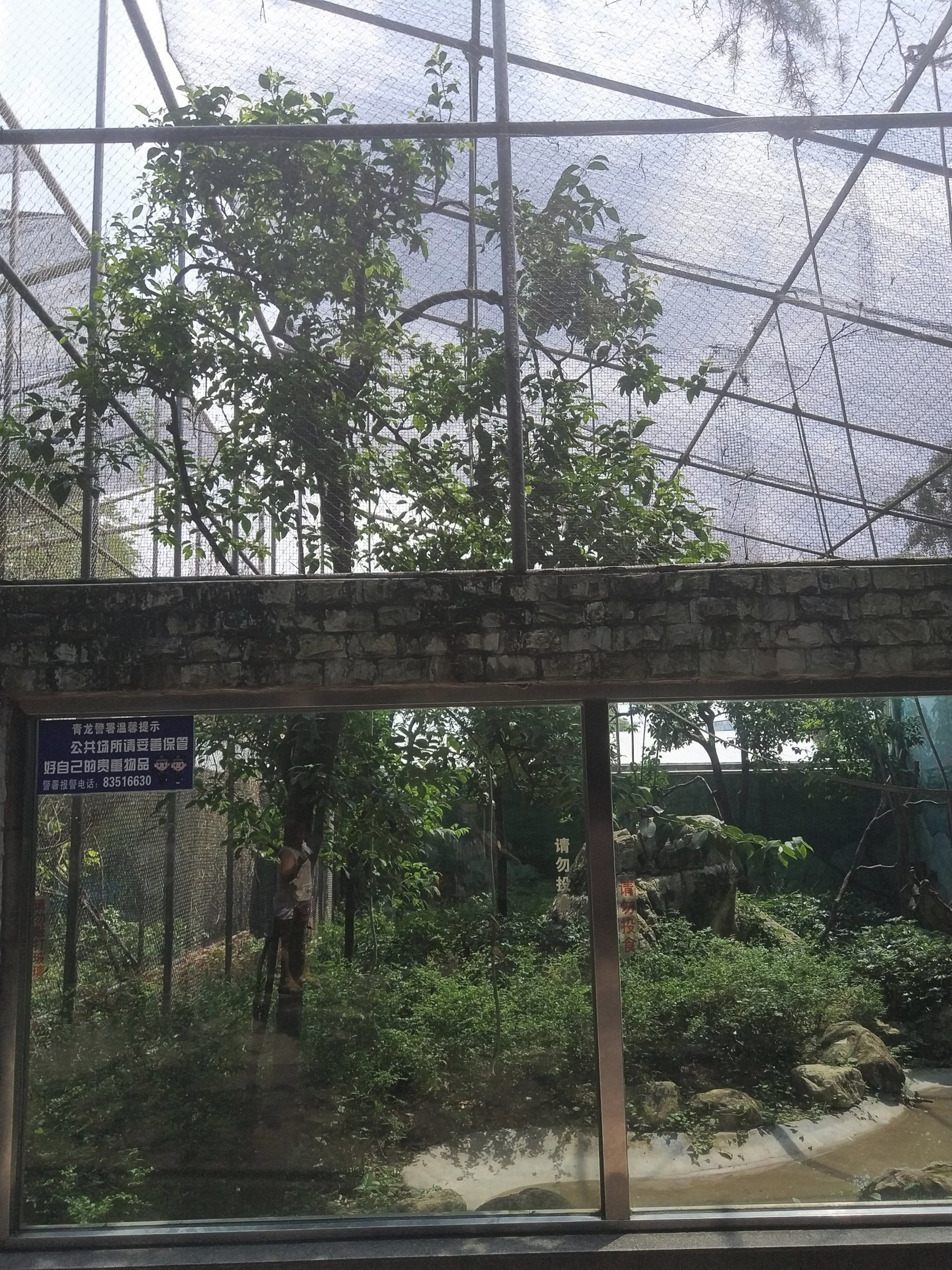 Primate Exhibit