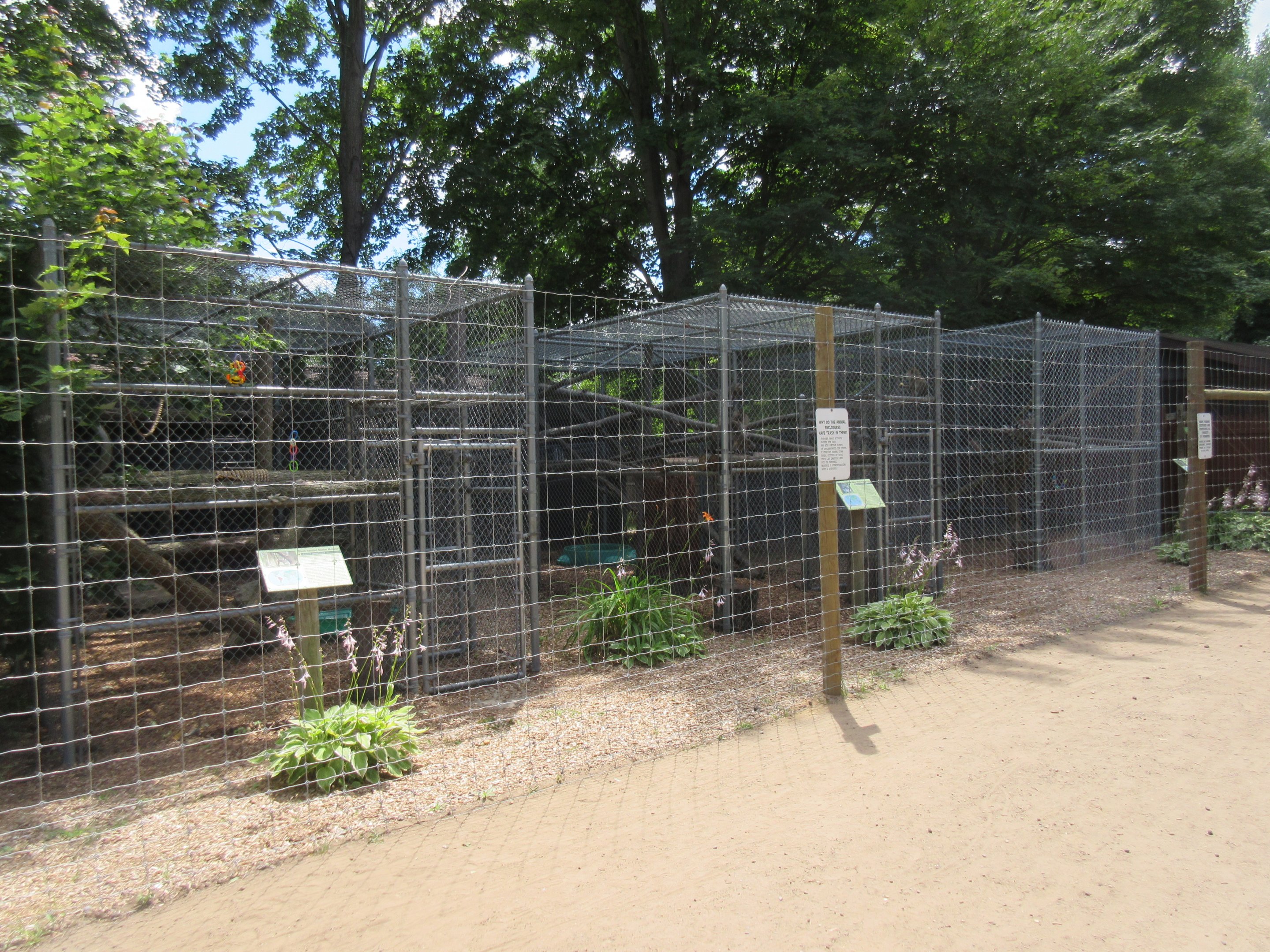 Primate Exhibits (3 Species)