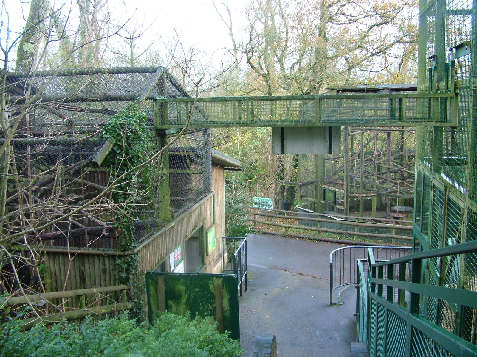 Primate exhibits at Port Lympne 27/11/09