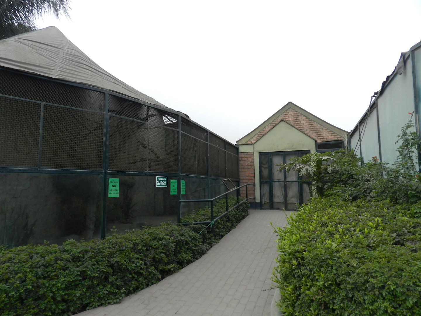 Primate exhibits - Parque Zoológico Huachipa