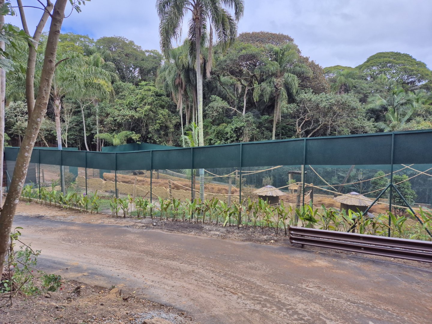 Primate exhibits,  Safari