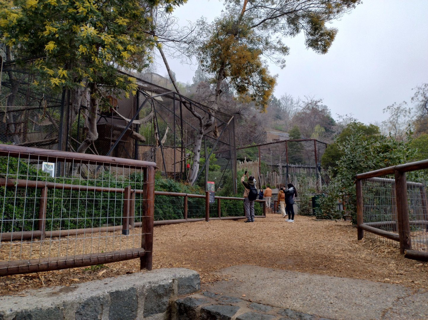 Primate exhibits - Santiago zoo (Zoologico nacional)