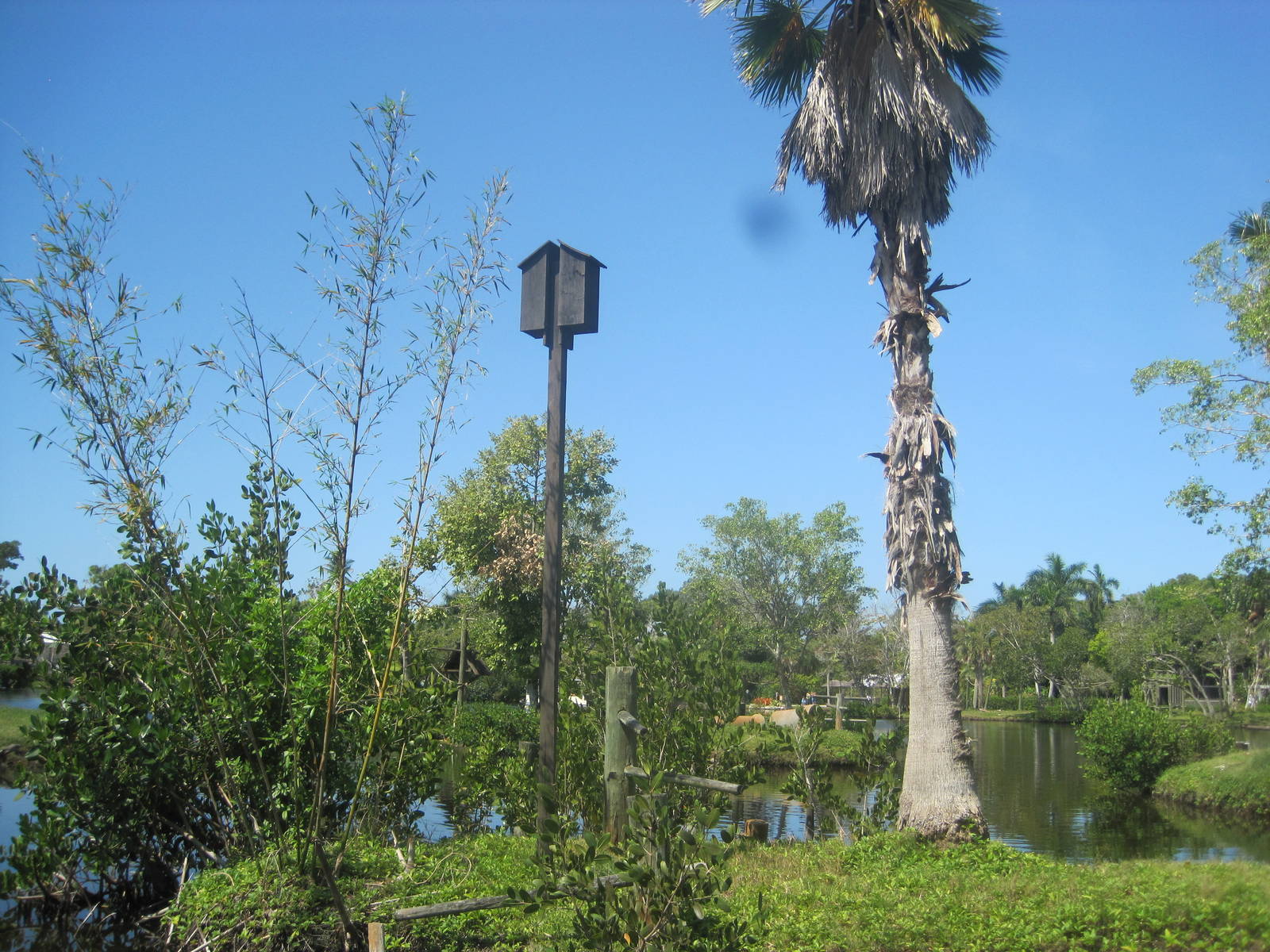 Primate Expedition Cruise- Bat House