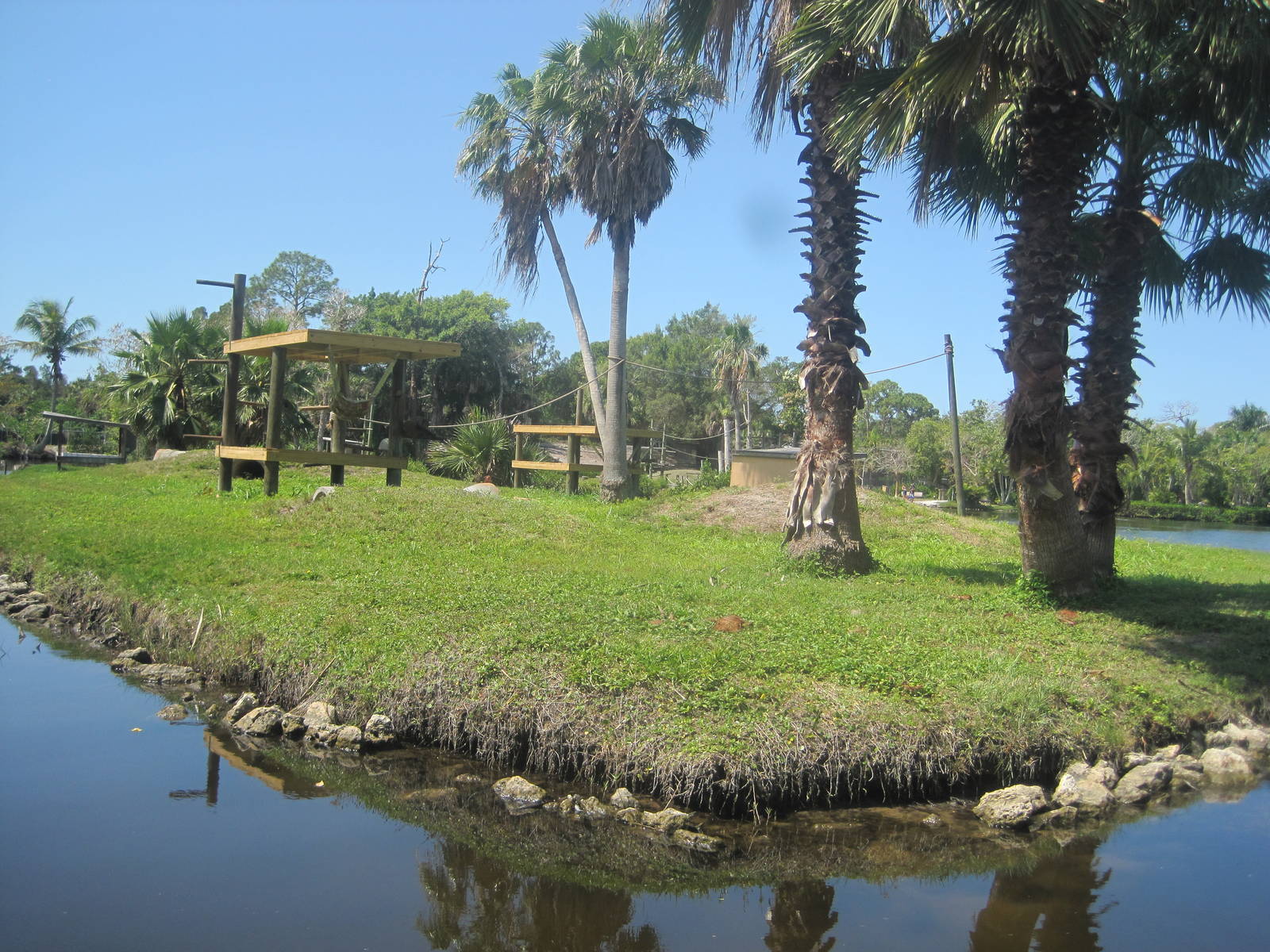 Primate Expedition Cruise- Spider Monkey Island 2