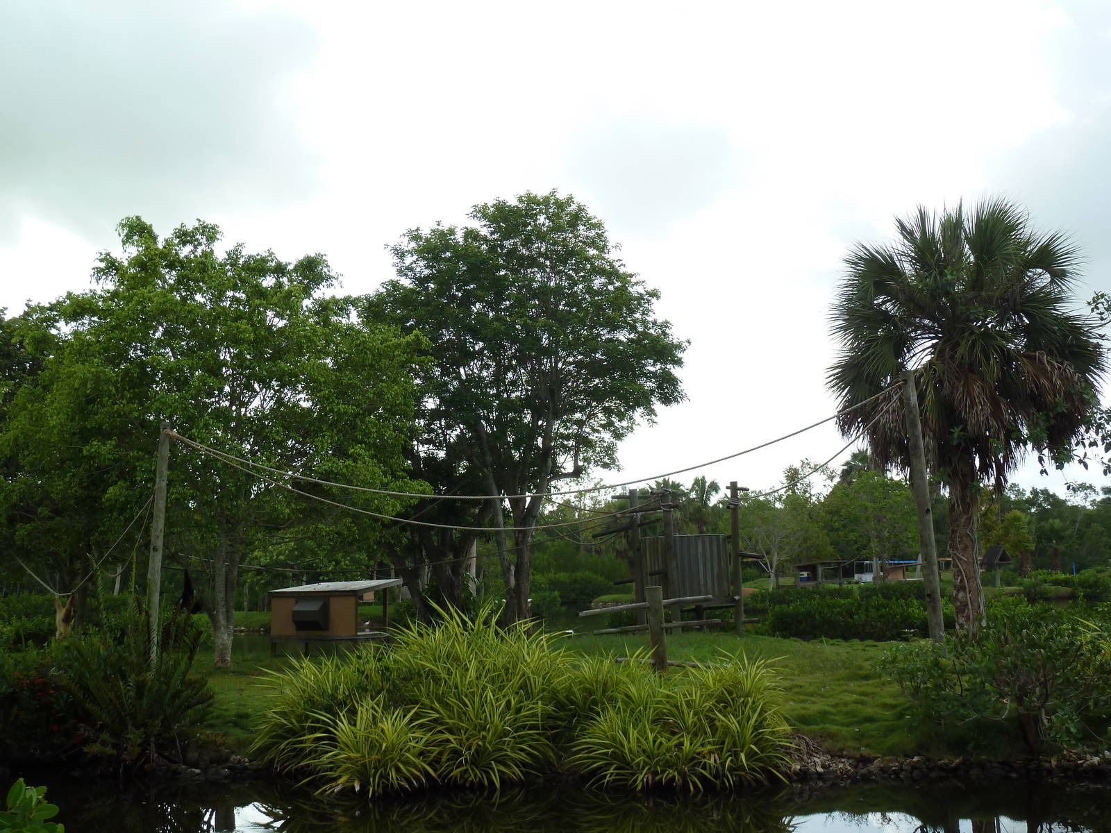 Primate Expedition Cruise