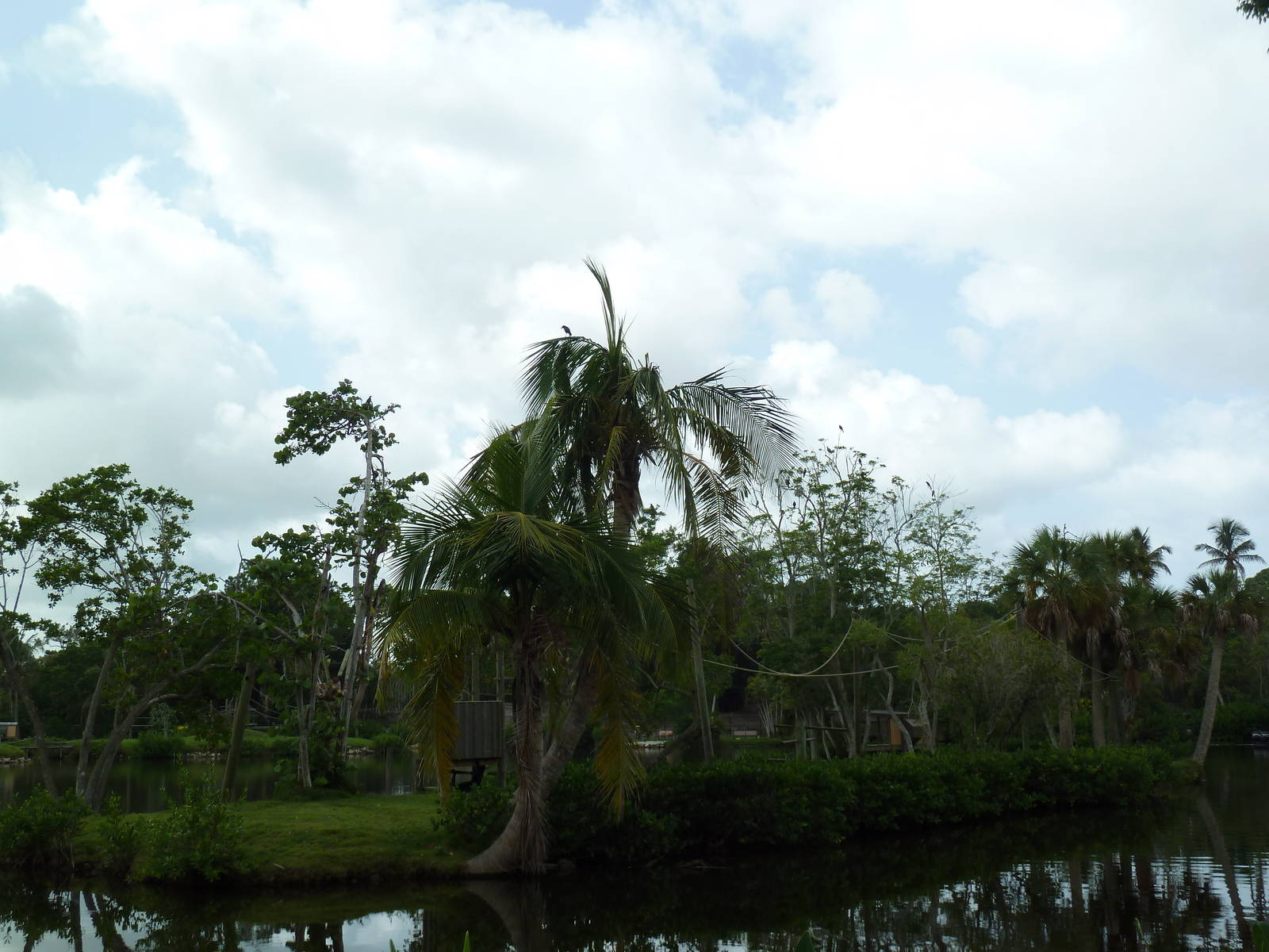 Primate Expedition Cruise