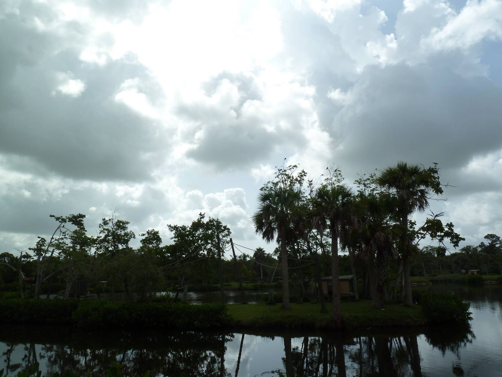 Primate Expedition Cruise