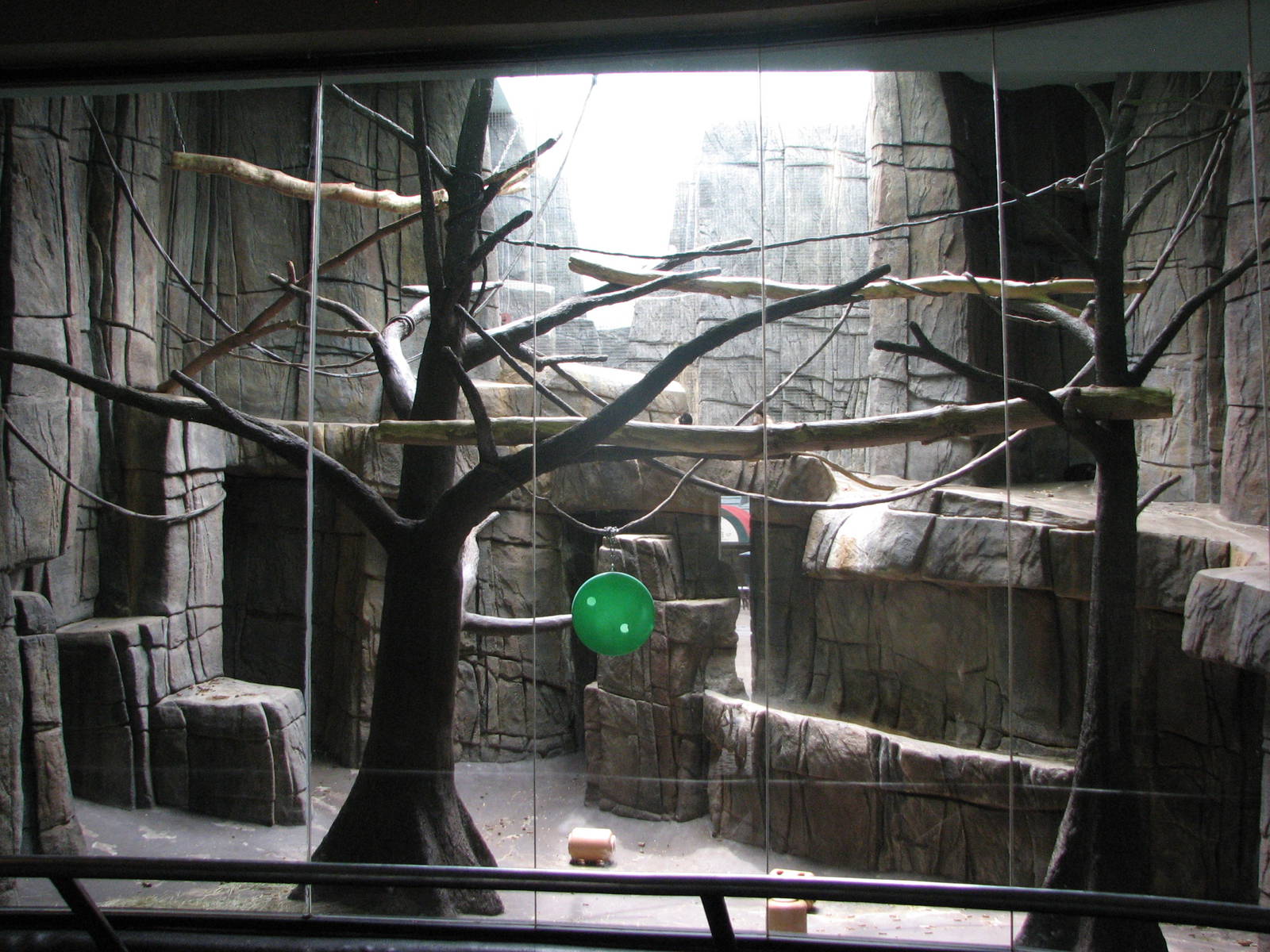 Primate Forest and Exhibition Hall