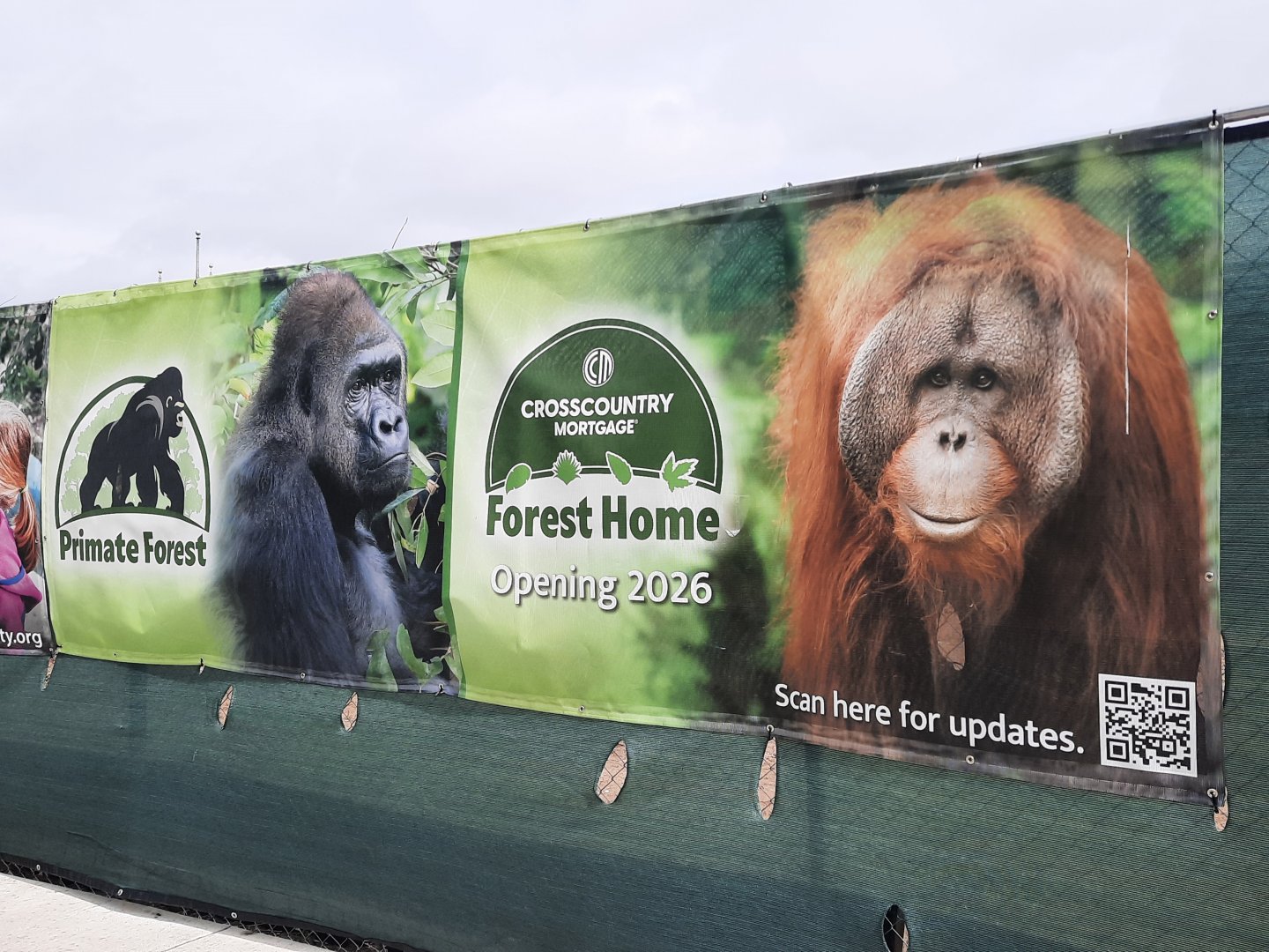 Primate Forest Banners