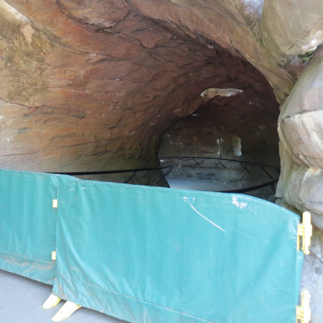 Primate Forest - Blocked Path