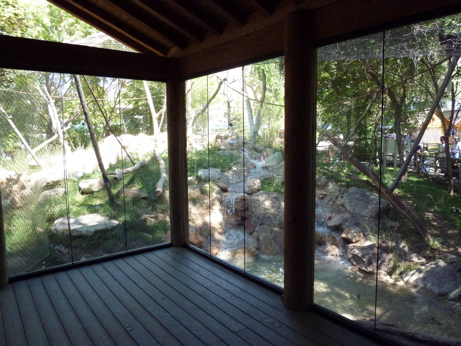 Primate Forest - Colobus Monkey Exhibit