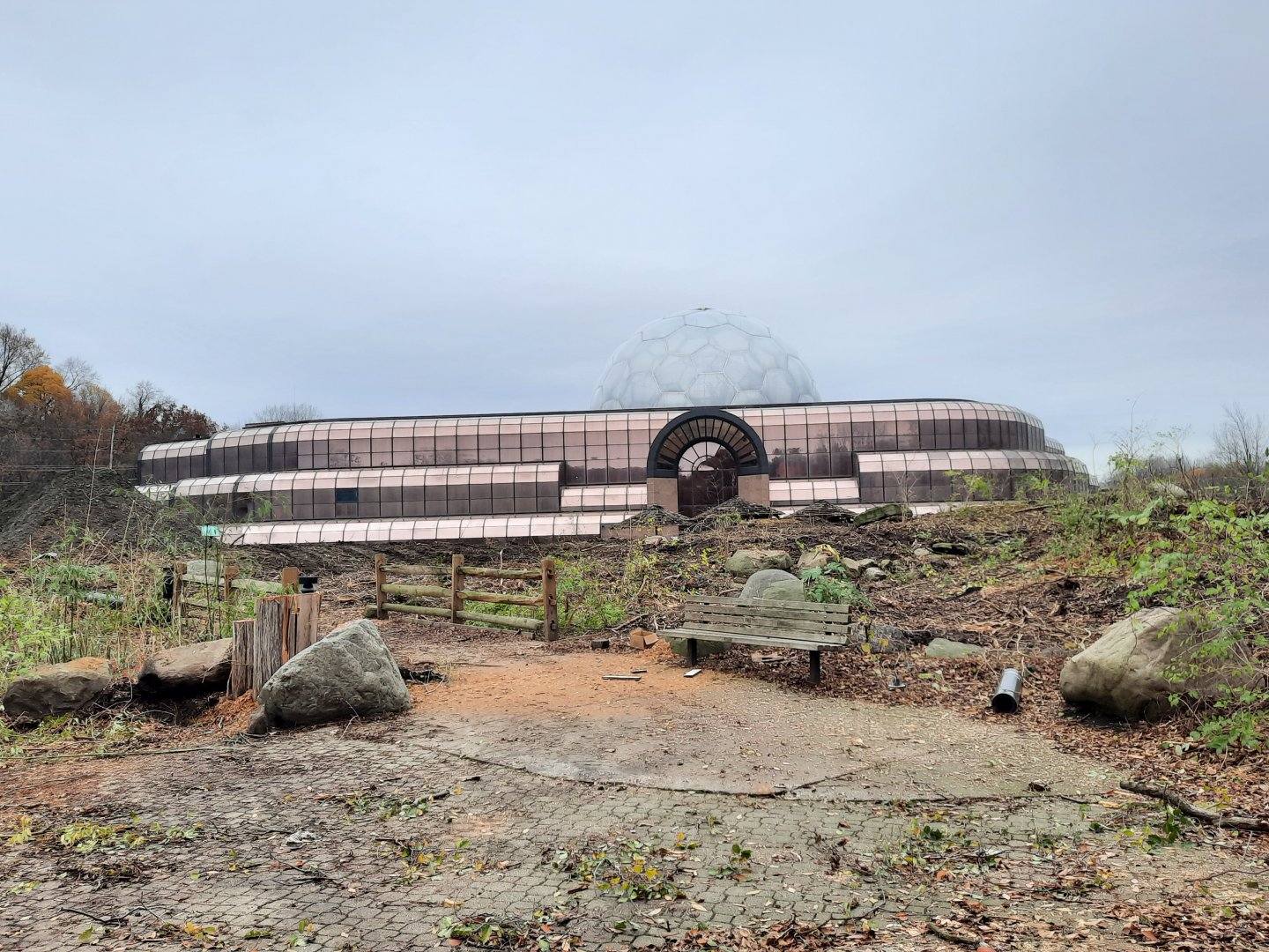 Primate Forest Construction 11/25