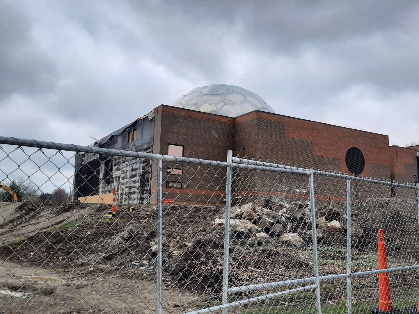 Primate Forest Construction 4/8 (2)