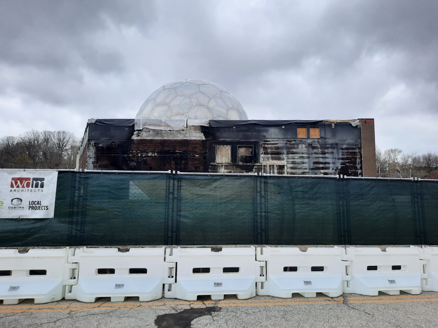 Primate Forest Construction 4/8 (3)