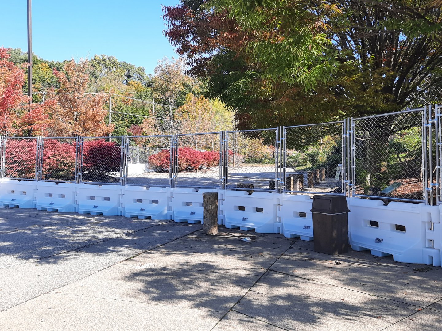 Primate Forest Construction Zone - Lion Lot