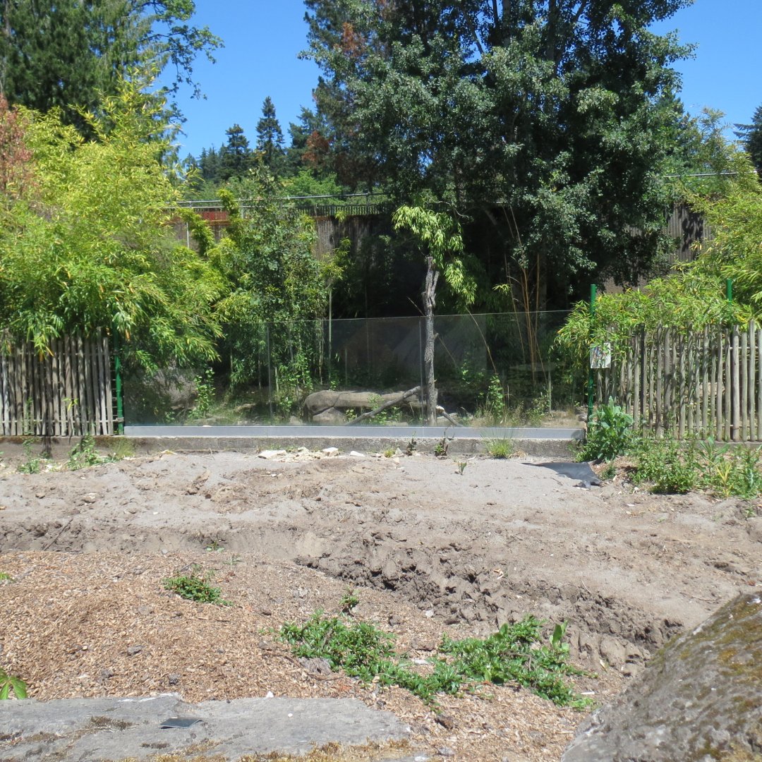 Primate Forest - Empty Exhibit