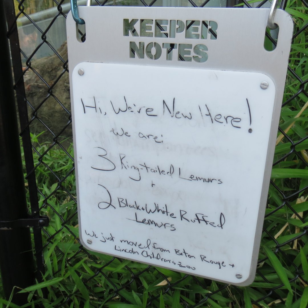 Primate Forest - Lemur Signage