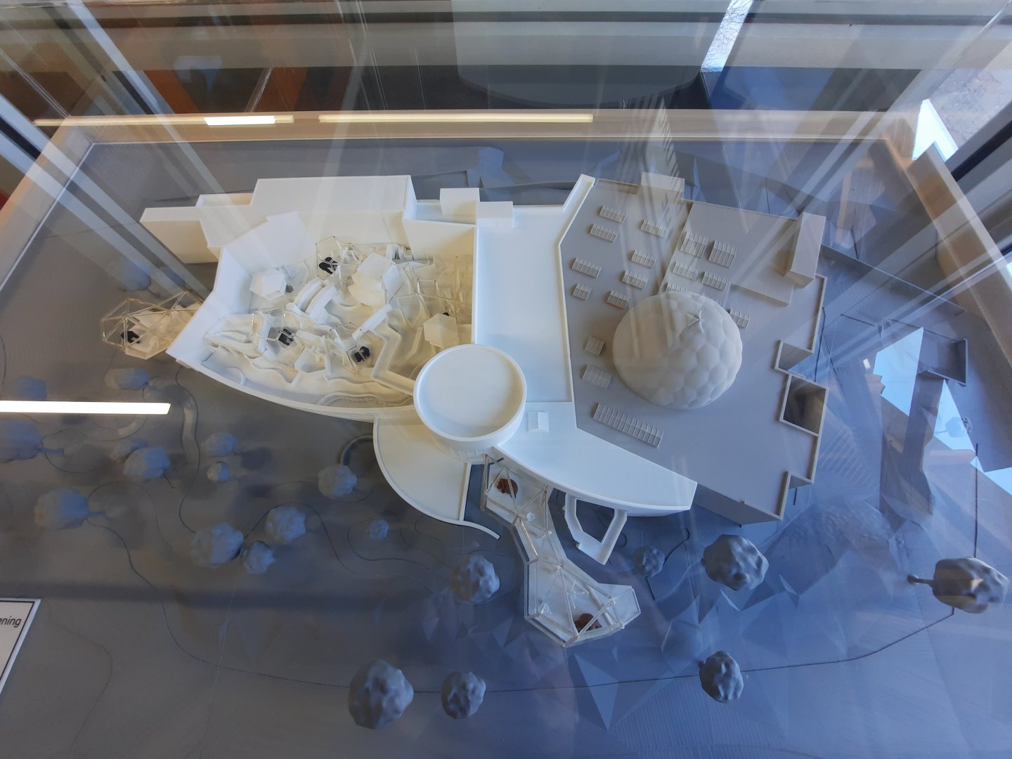 Primate Forest Model 1