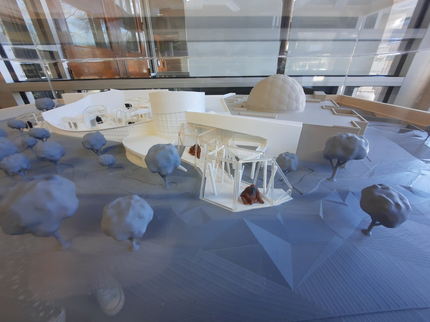 Primate Forest Model 2