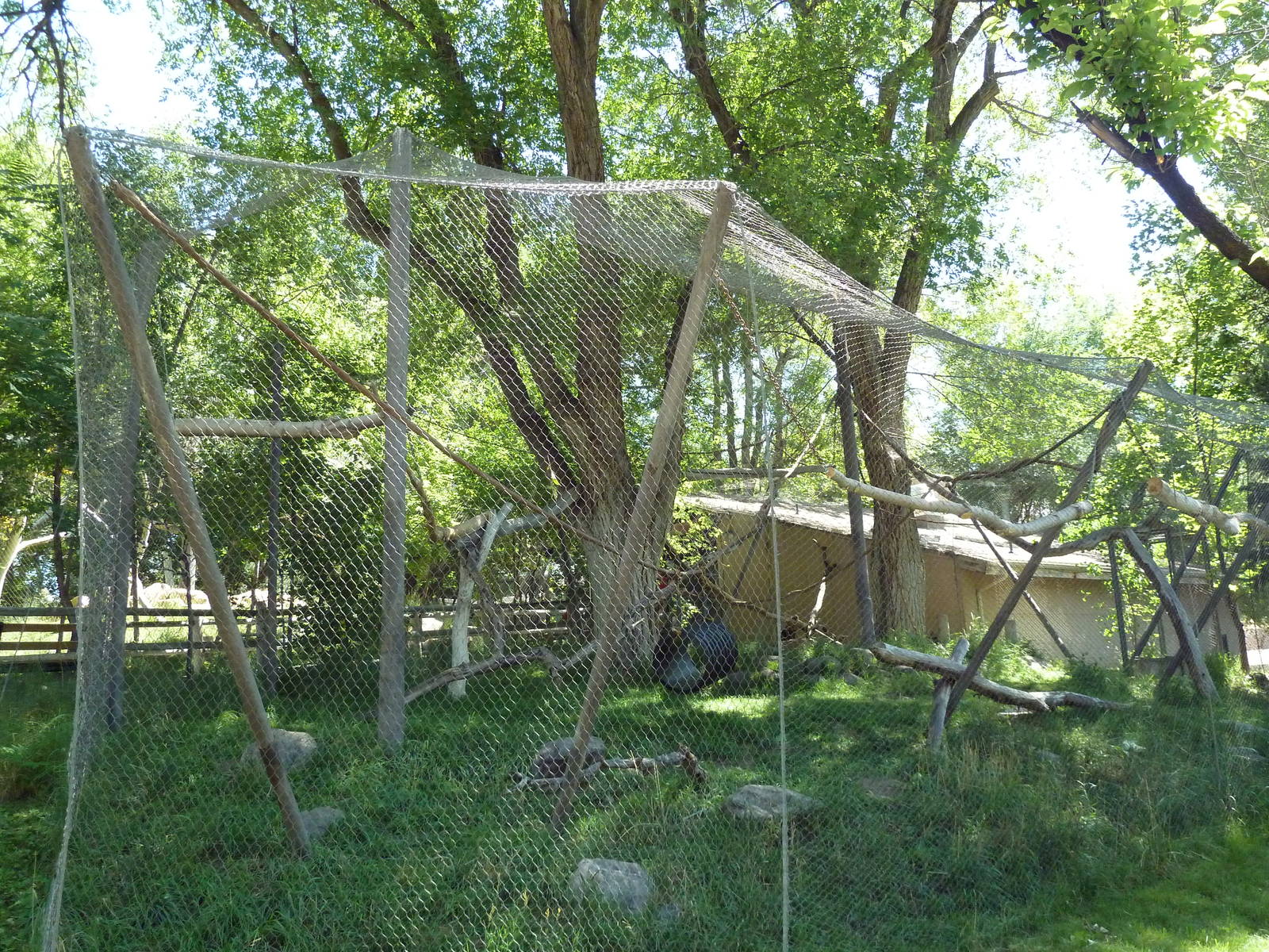 Primate Forest - Spider Monkey Exhibit