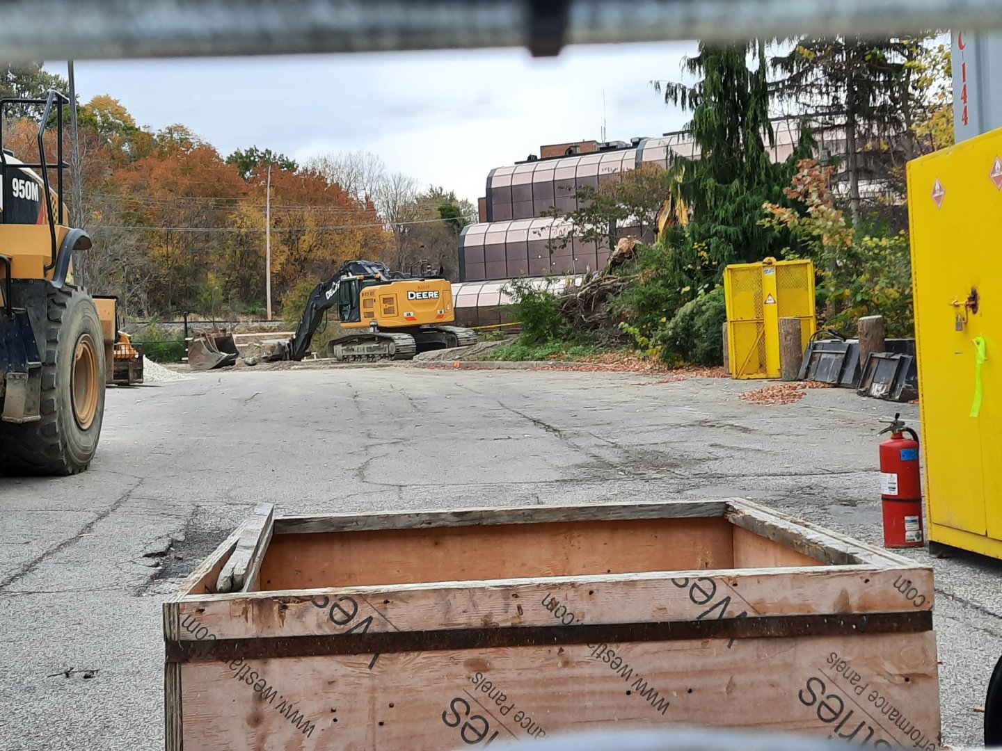 Primate Forest Update 11/1