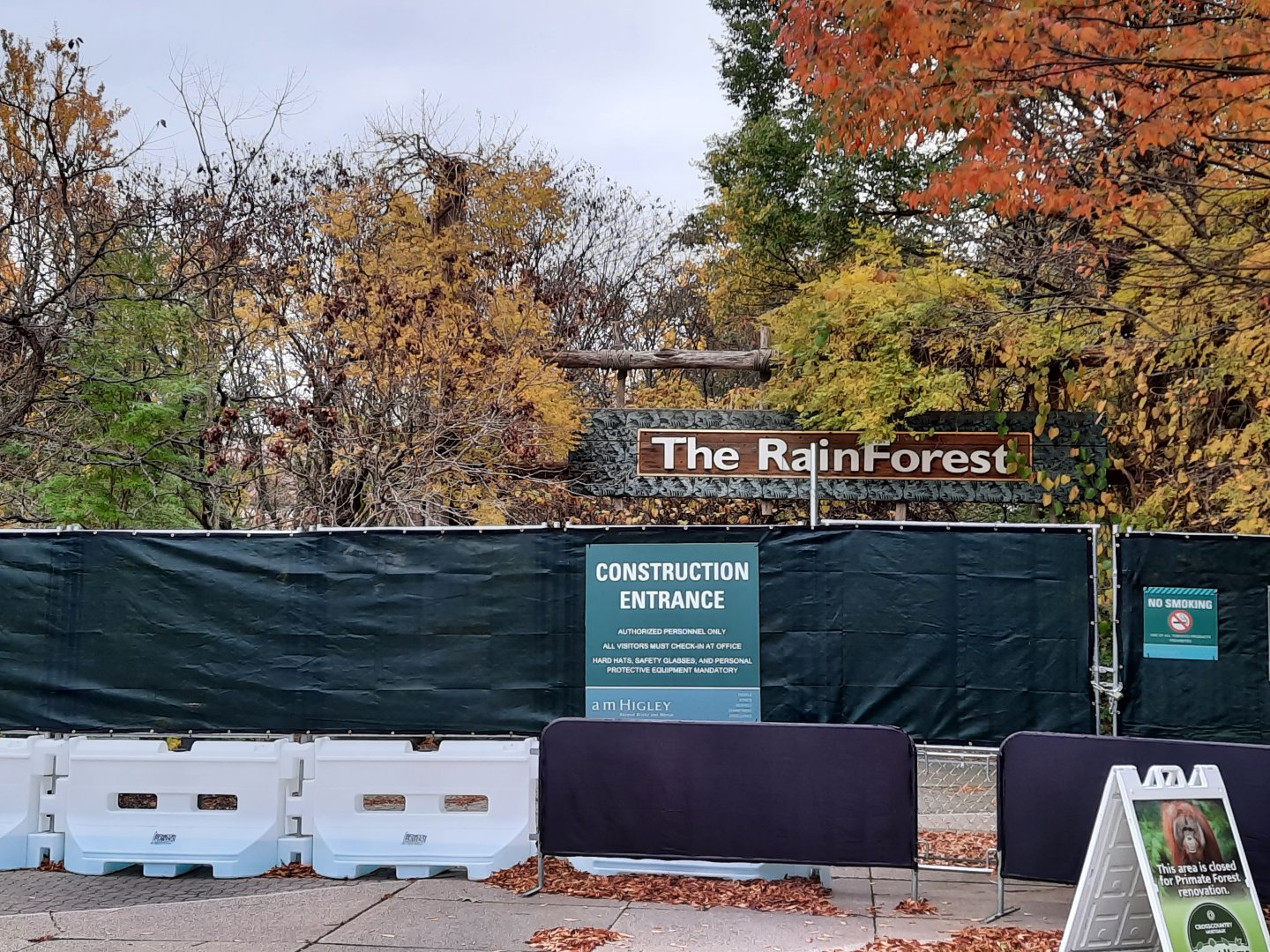 Primate Forest Update 11/1